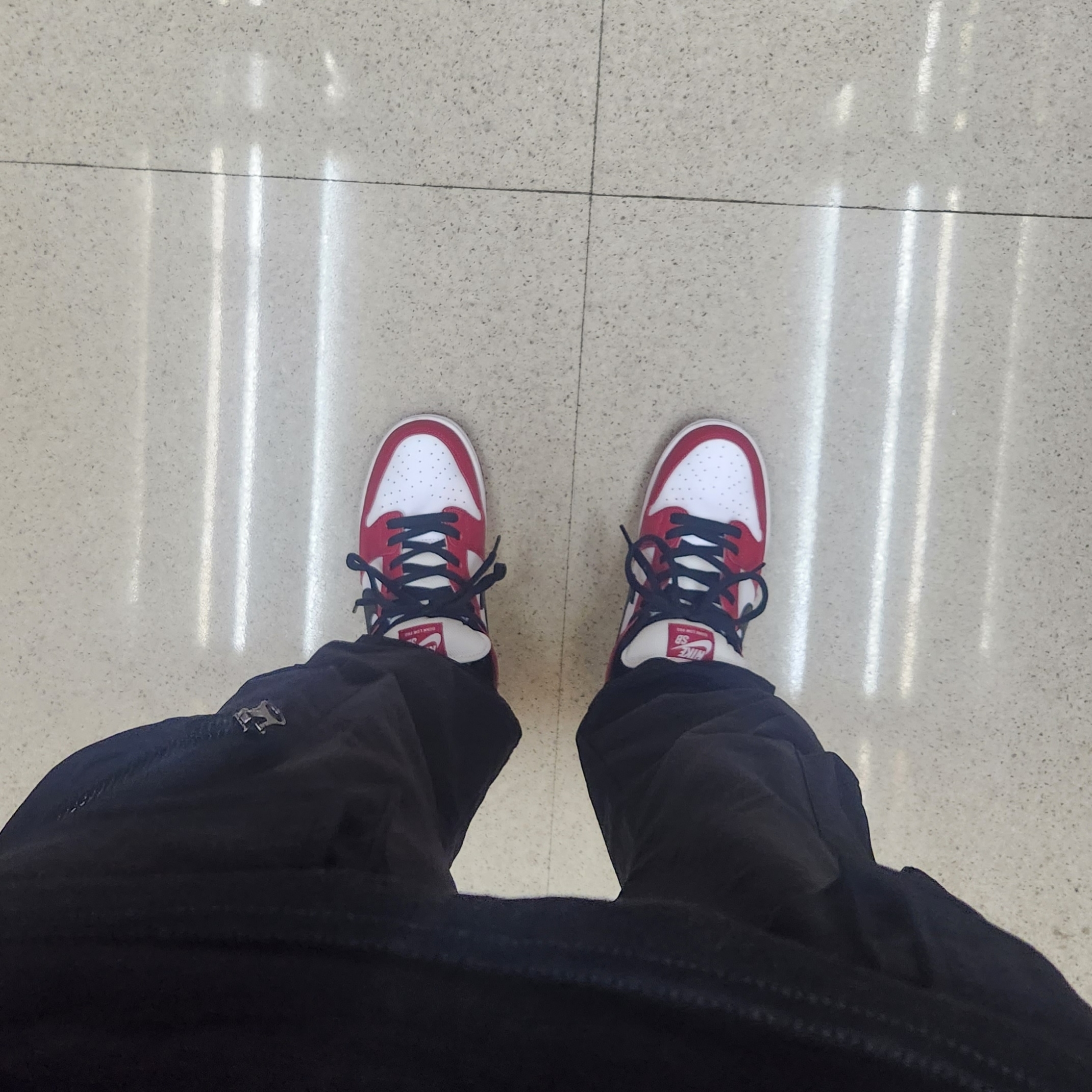 Nike SB Dunk Low Pro Chicago 착용 스타일
