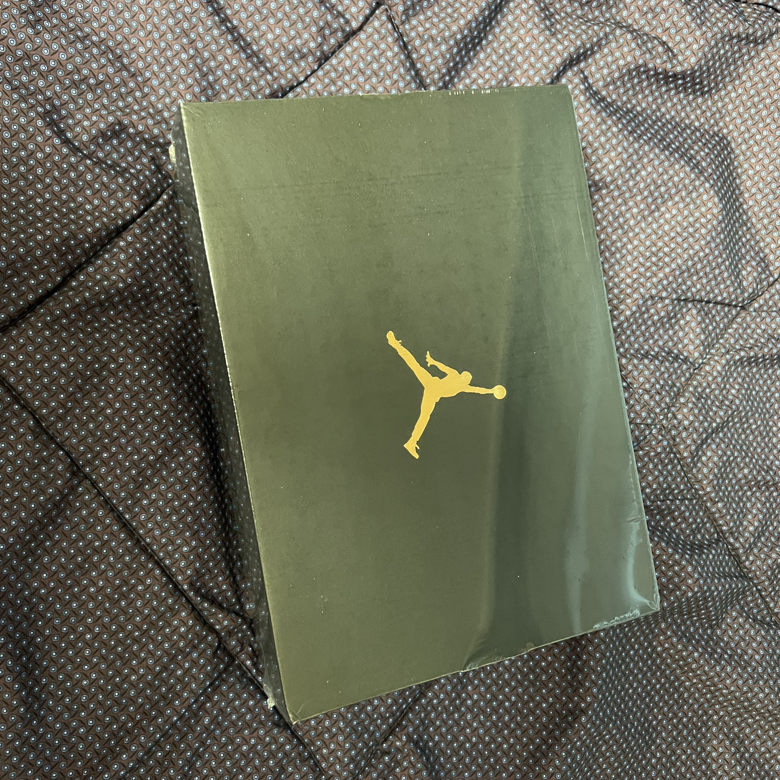 Jordan 1 Low Light Smoke Grey 착용 스타일 - 4