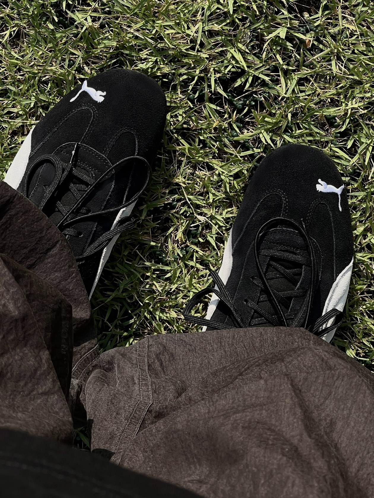 Gentle Monster July 01 Black, Puma Speedcat LS Black White 착용 스타일 - 3