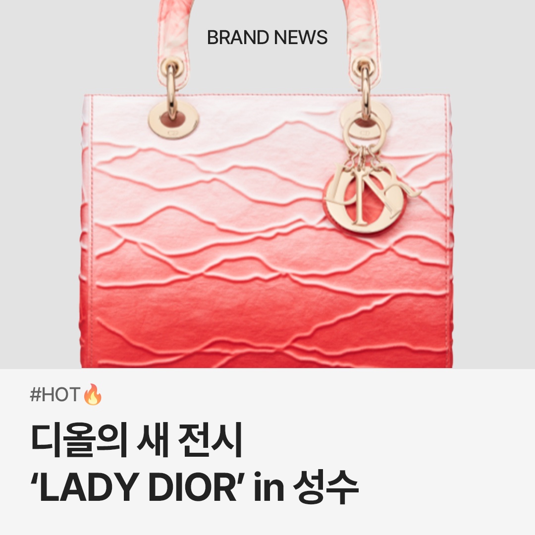 Dior Small Lady Bag My ABCDior Cannage Lambskin Deep Ocean Blue, Dior Small Lady Bag My ABCDior Cannage Lambskin Black 착용 스타일 - 1