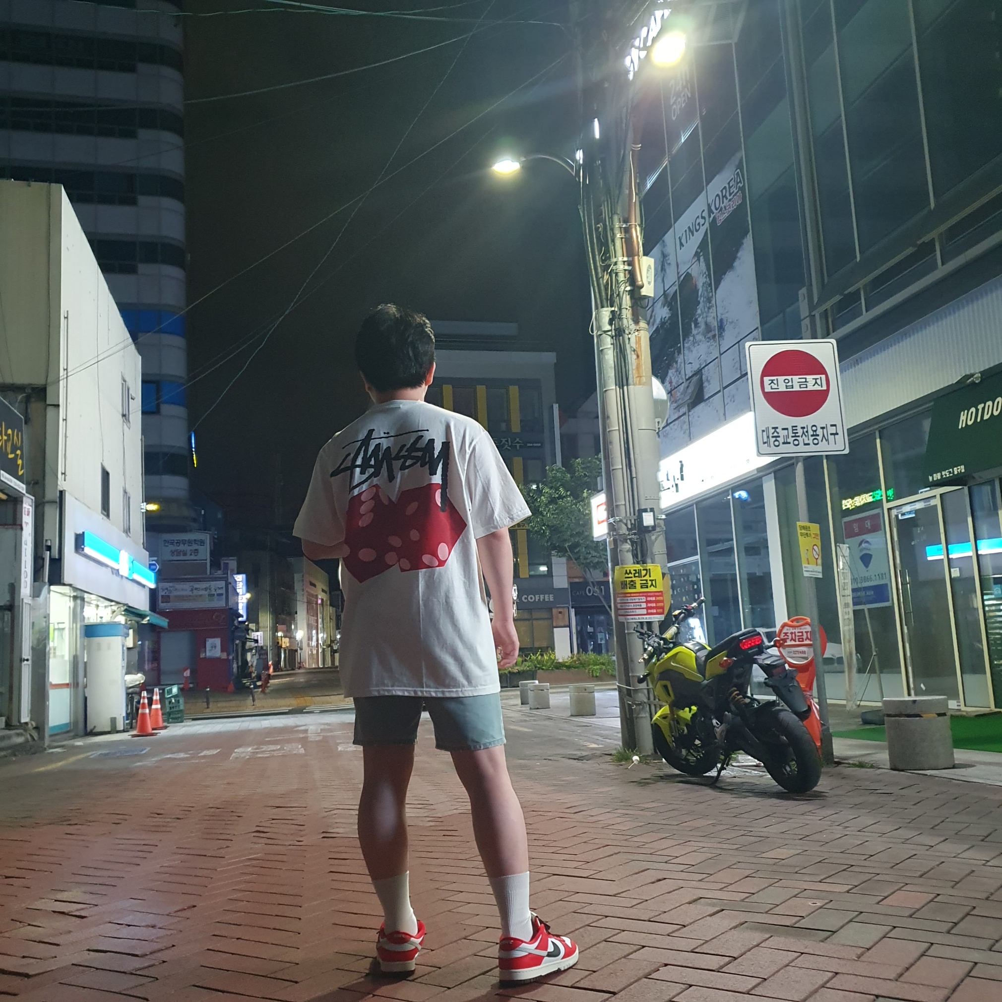 Stussy Diced Out T-Shirt White, Nike Dunk Low Retro PRM University Red Black 착용 스타일