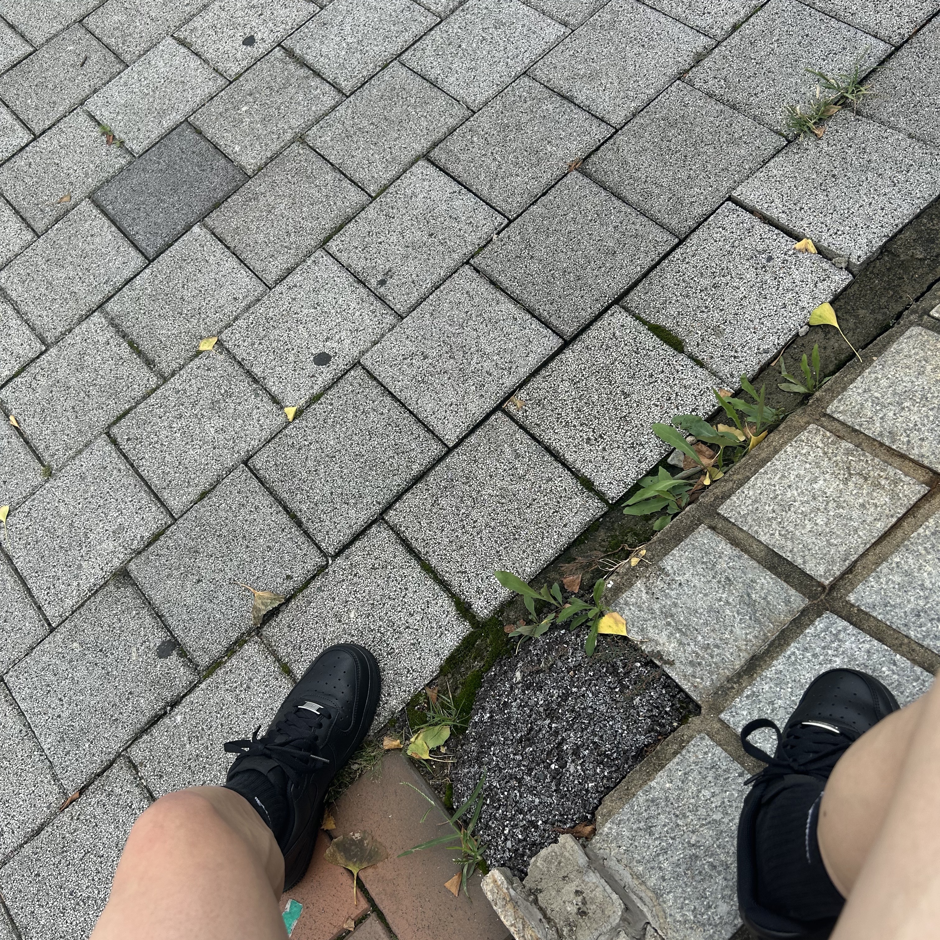 (W) Nike Air Force 1 '07 Low Triple Black 착용 스타일 - 2