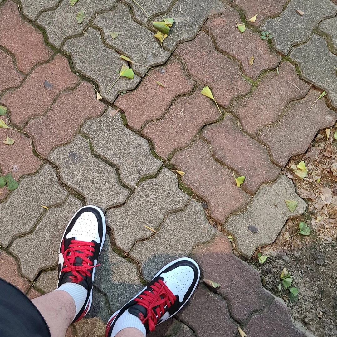 Jordan 1 Retro Low OG Black Toe 착용 스타일