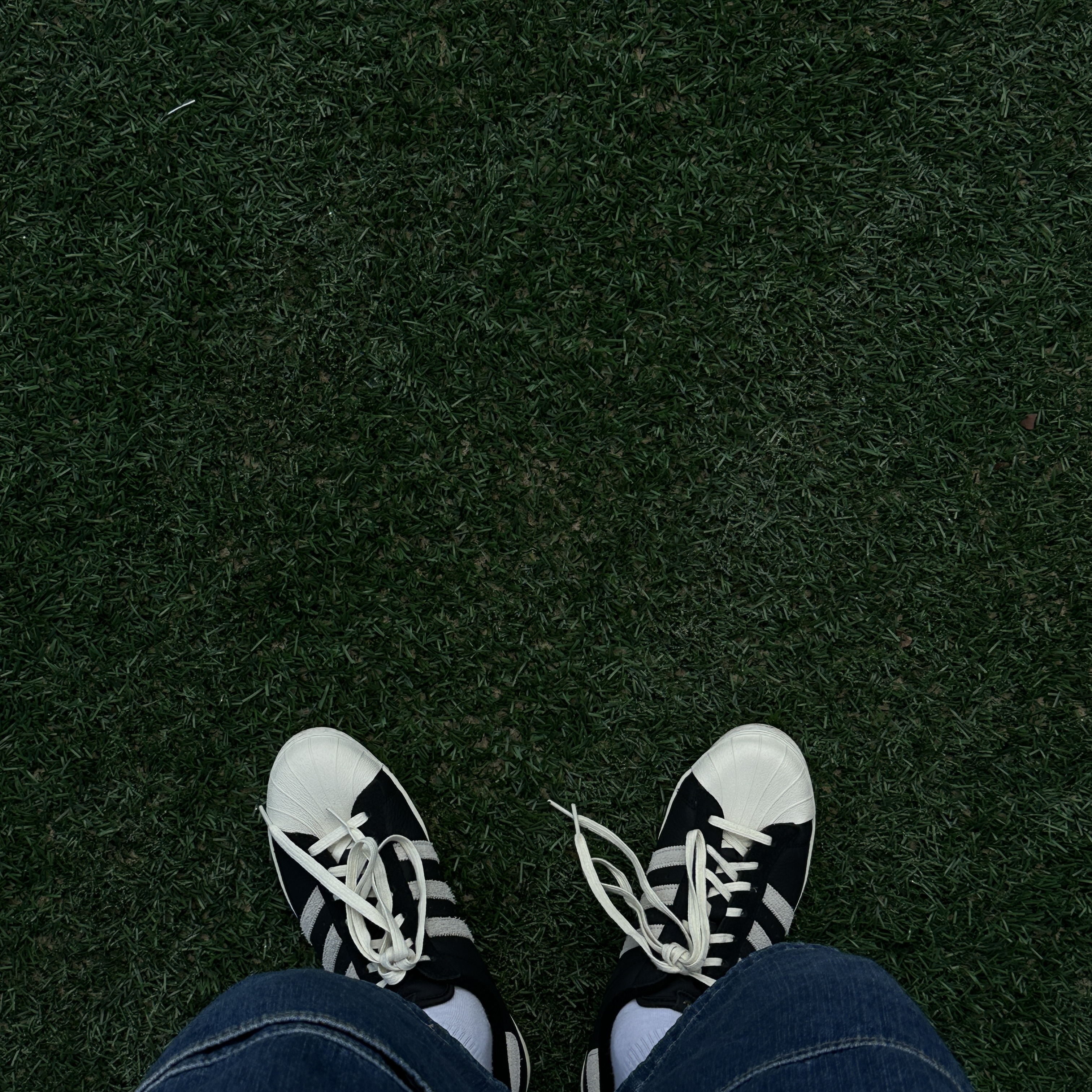 Adidas Superstar 82 Black White 착용 스타일