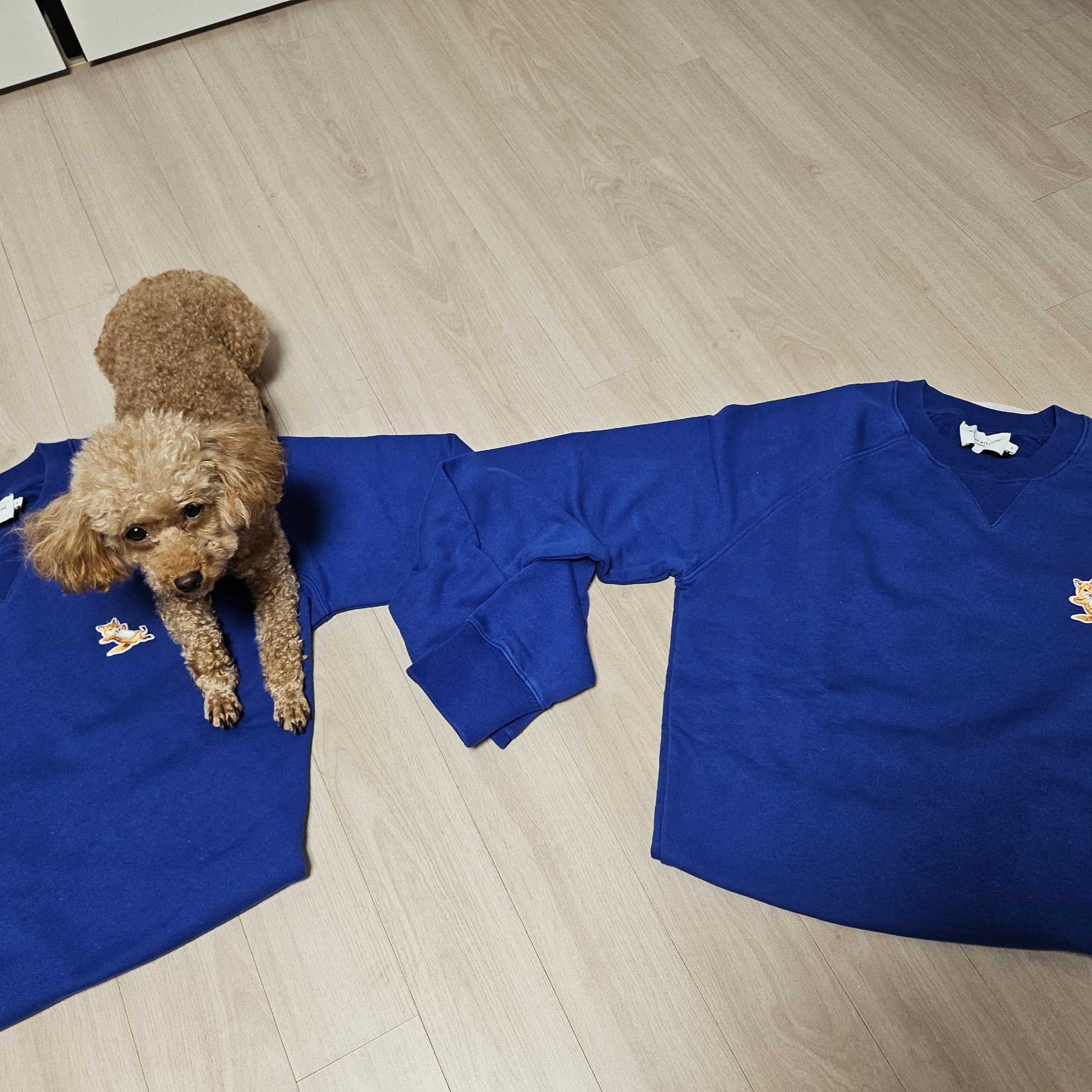 Maison Kitsune Chillax Fox Patch Classic Sweatshirt Deep Blue 착용 스타일 - 1