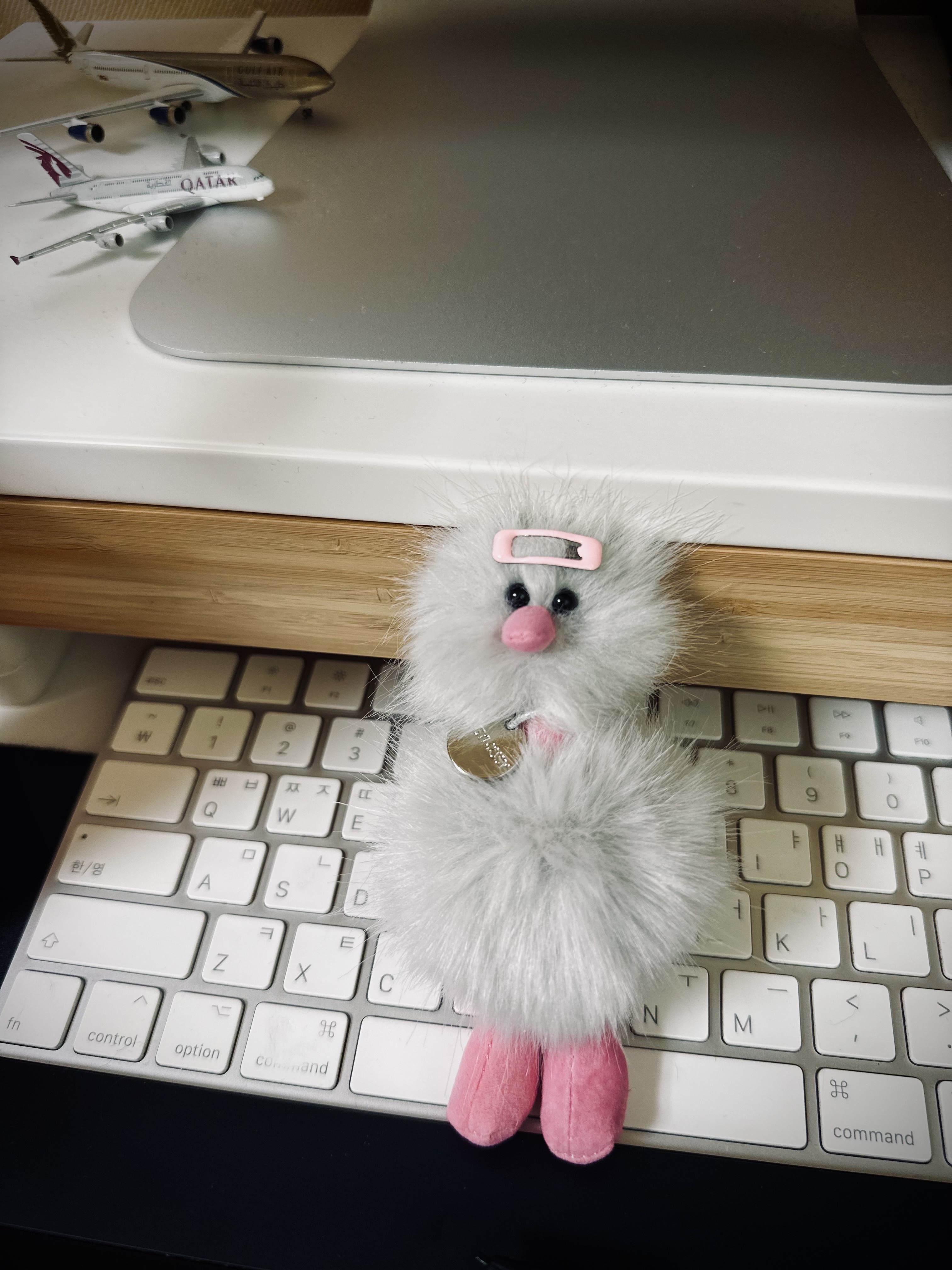 Cosymosy Mini Bird Keyring Light Gray 착용 스타일 - 3