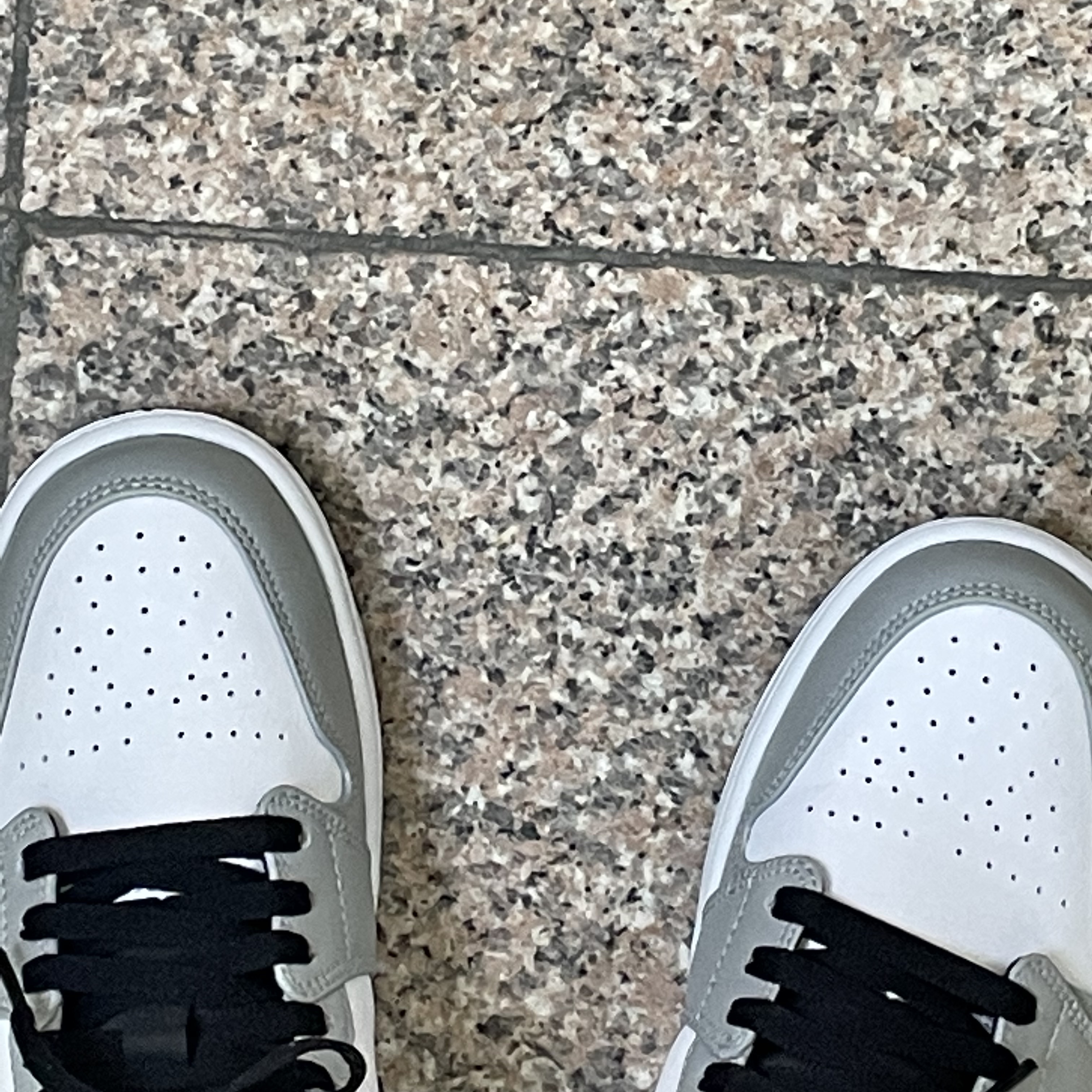 Jordan 1 Low Light Smoke Grey 착용 스타일