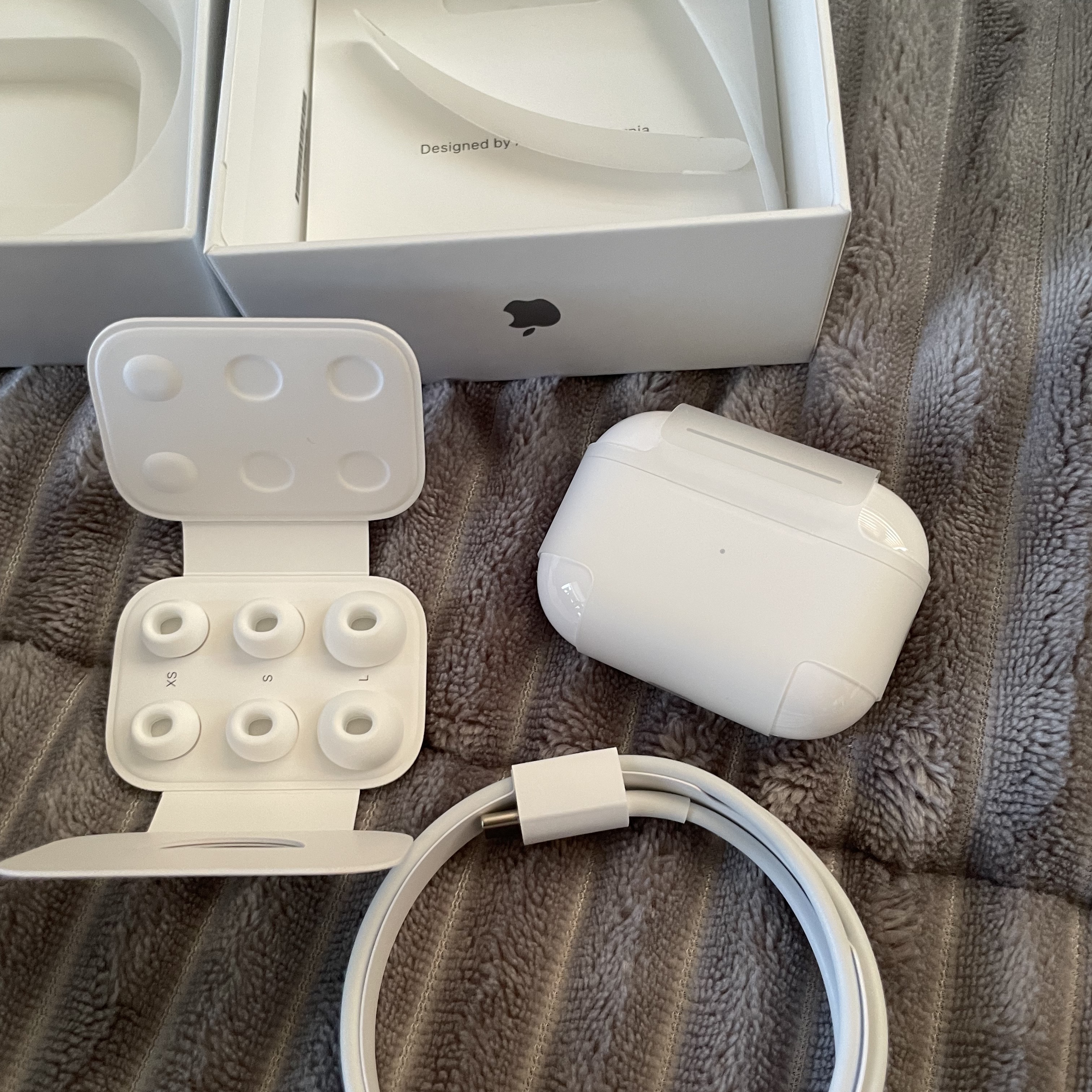 Apple AirPods Pro 2nd Gen (Korean Ver.) 착용 스타일