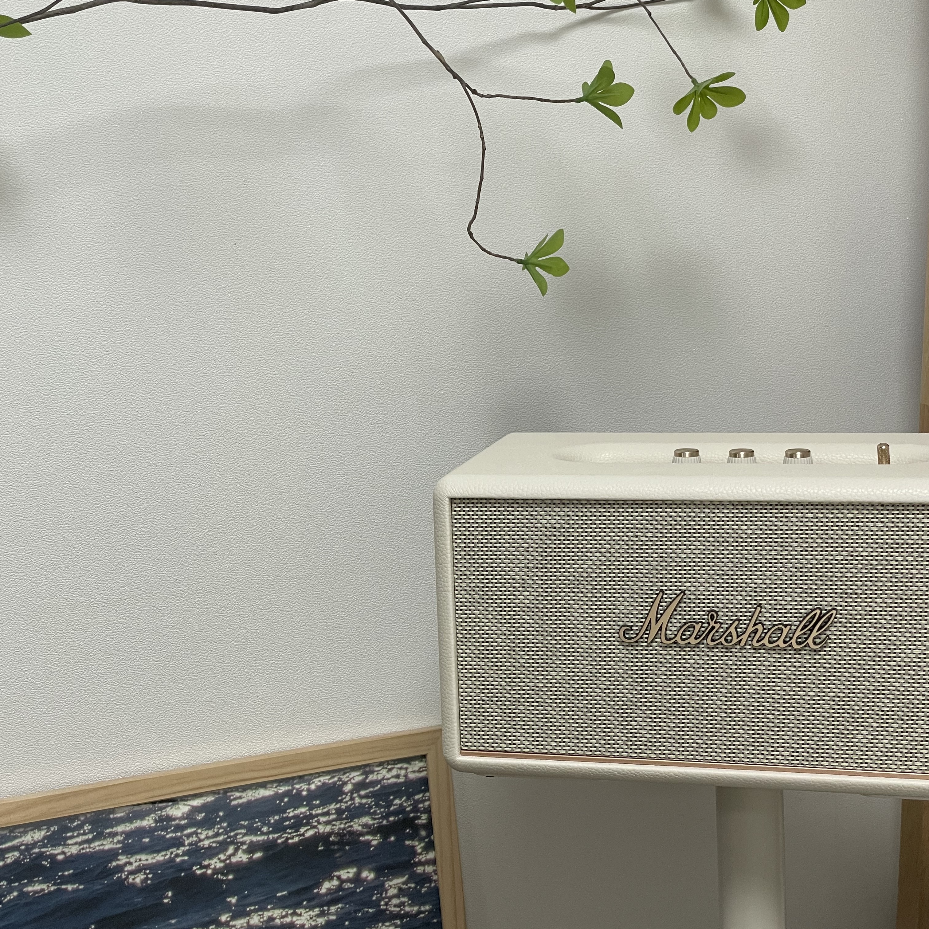 Marshall Stanmore III Bluetooth Cream (Korean Ver.) 착용 스타일