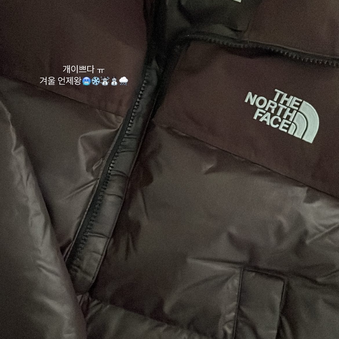 (W) The North Face White Label Novelty Nuptse Down Jacket Cocoa Brown 착용 스타일