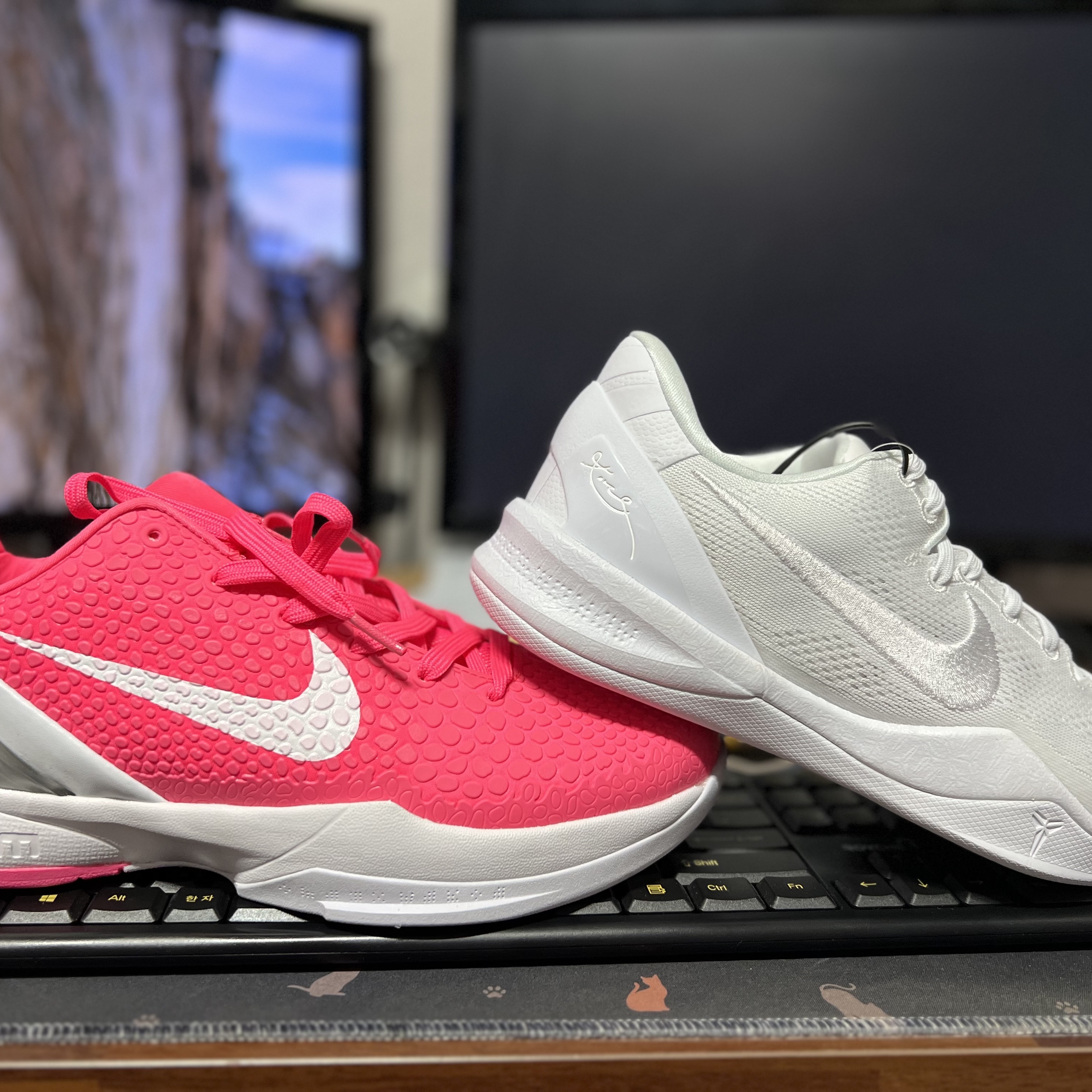 Nike Kobe 8 Protro Halo, Nike Kobe 6 Protro Kay Yow Pinkfire 착용 스타일 - 1