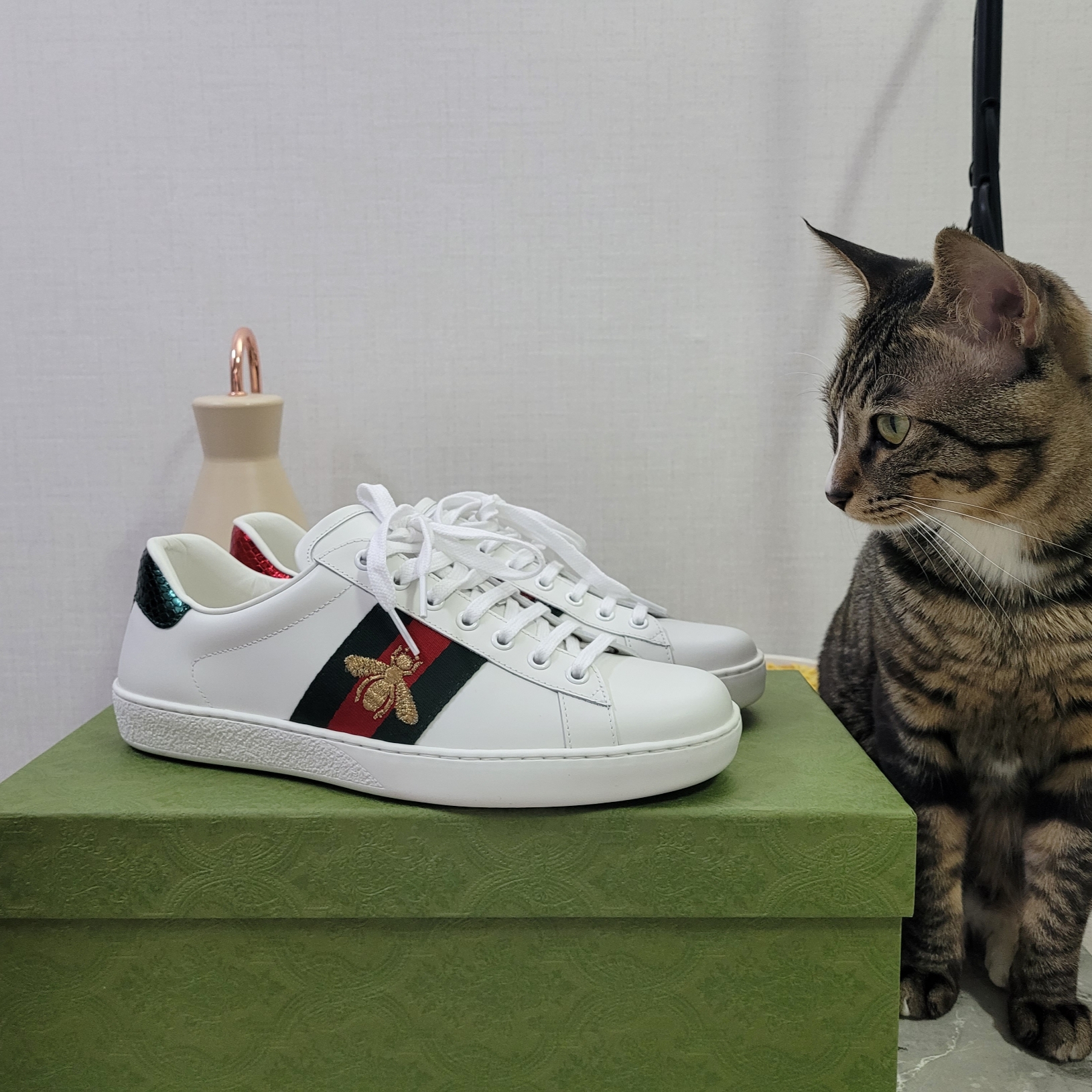 Gucci Ophidia GG Supreme Zipper Wallet Beige Ebony, (W) Gucci Ace Bee Embroidered Sneakers 착용 스타일 - 2