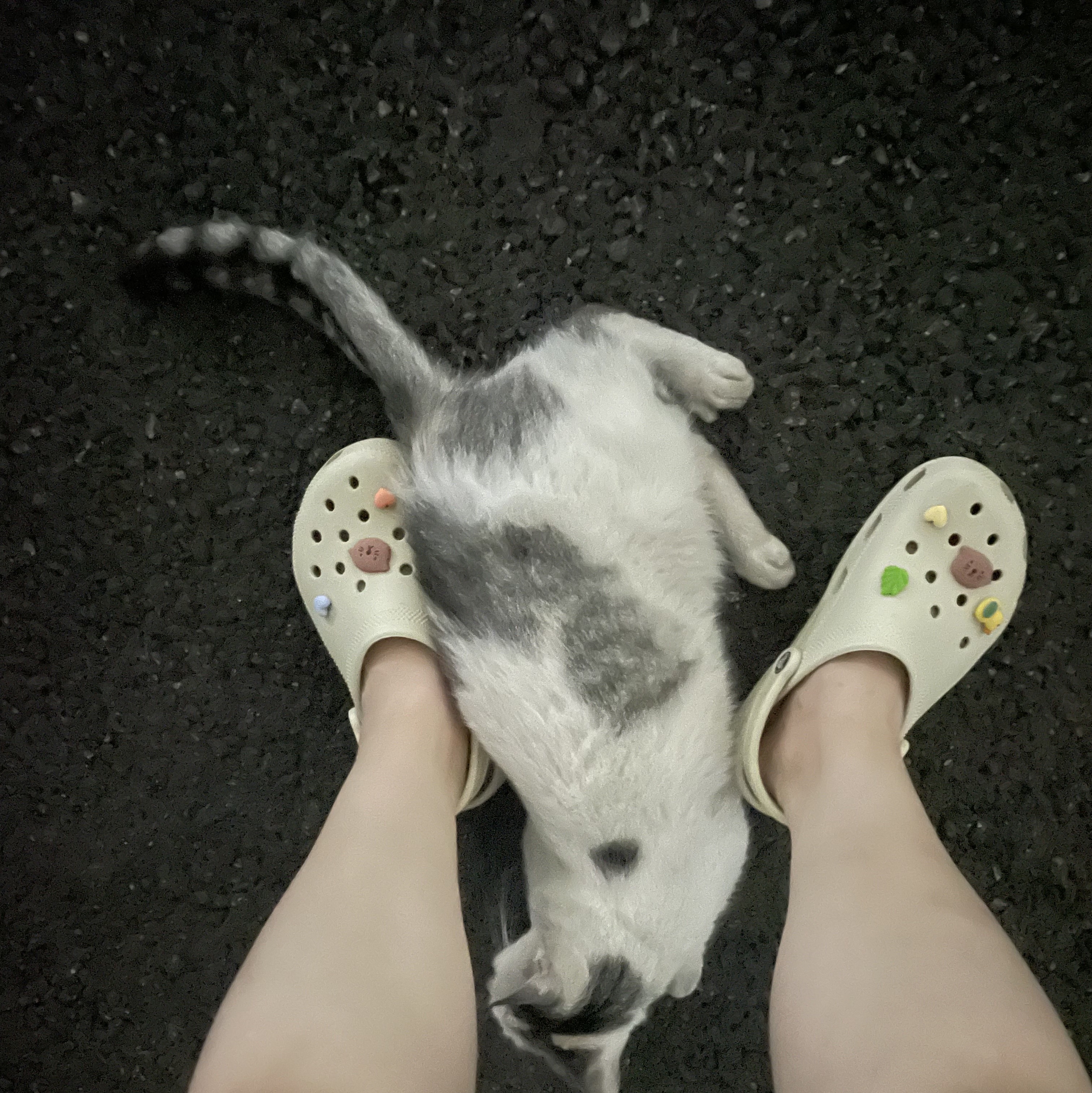 Crocs Classic Clog Bone 착용 스타일