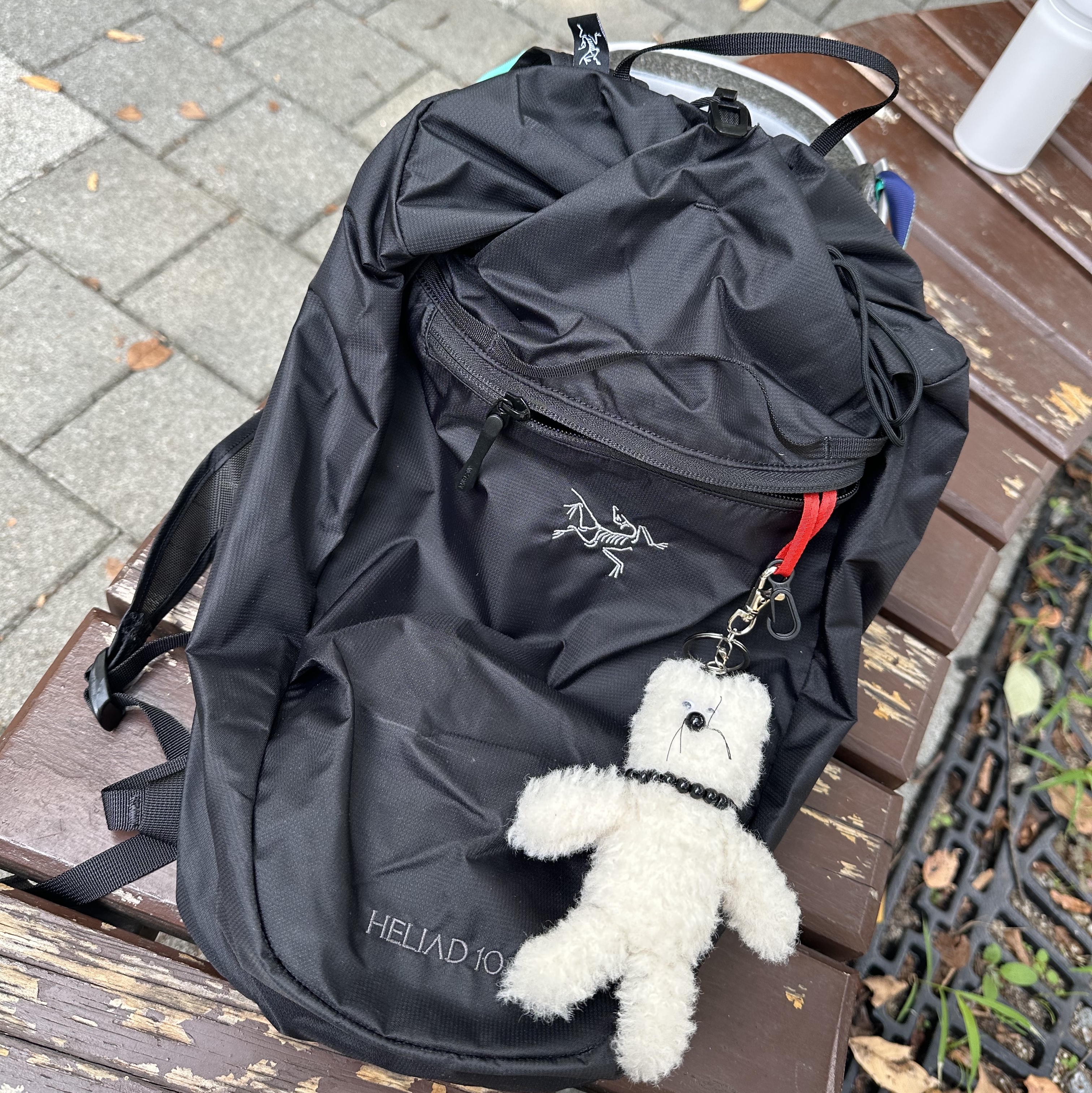 Arc'teryx Heliad 10 Backpack Black 착용 스타일