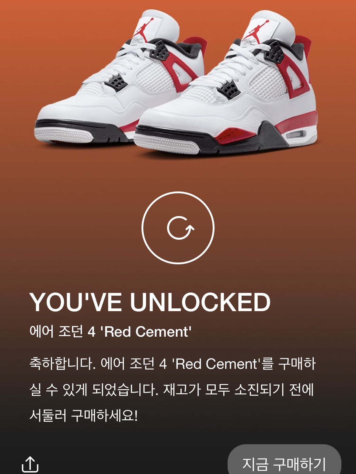Jordan 4 Retro Red Cement 착용 스타일 - 1