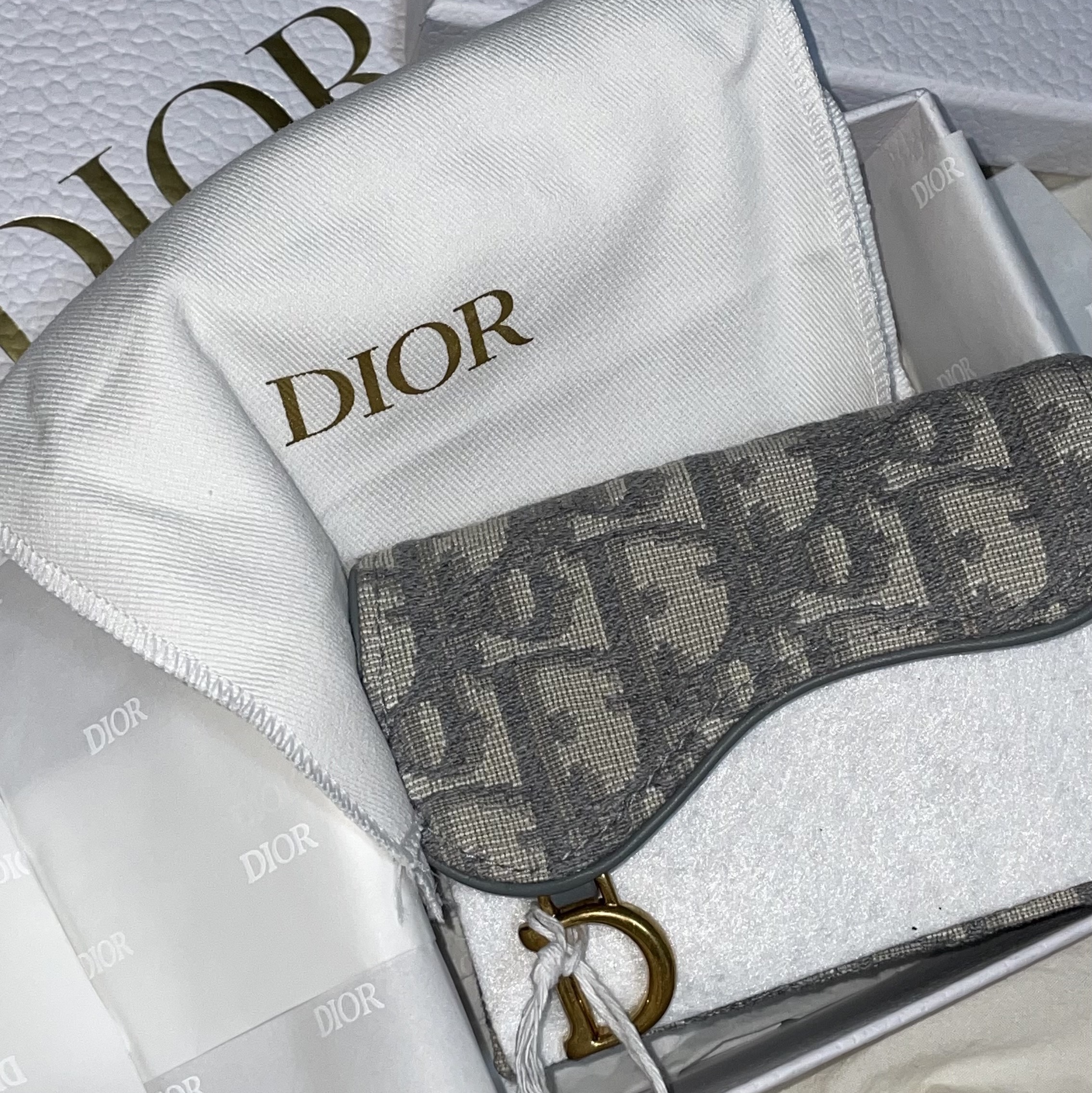 Dior Saddle Flap Card Holder Grey Dior Oblique Jacquard 착용 스타일