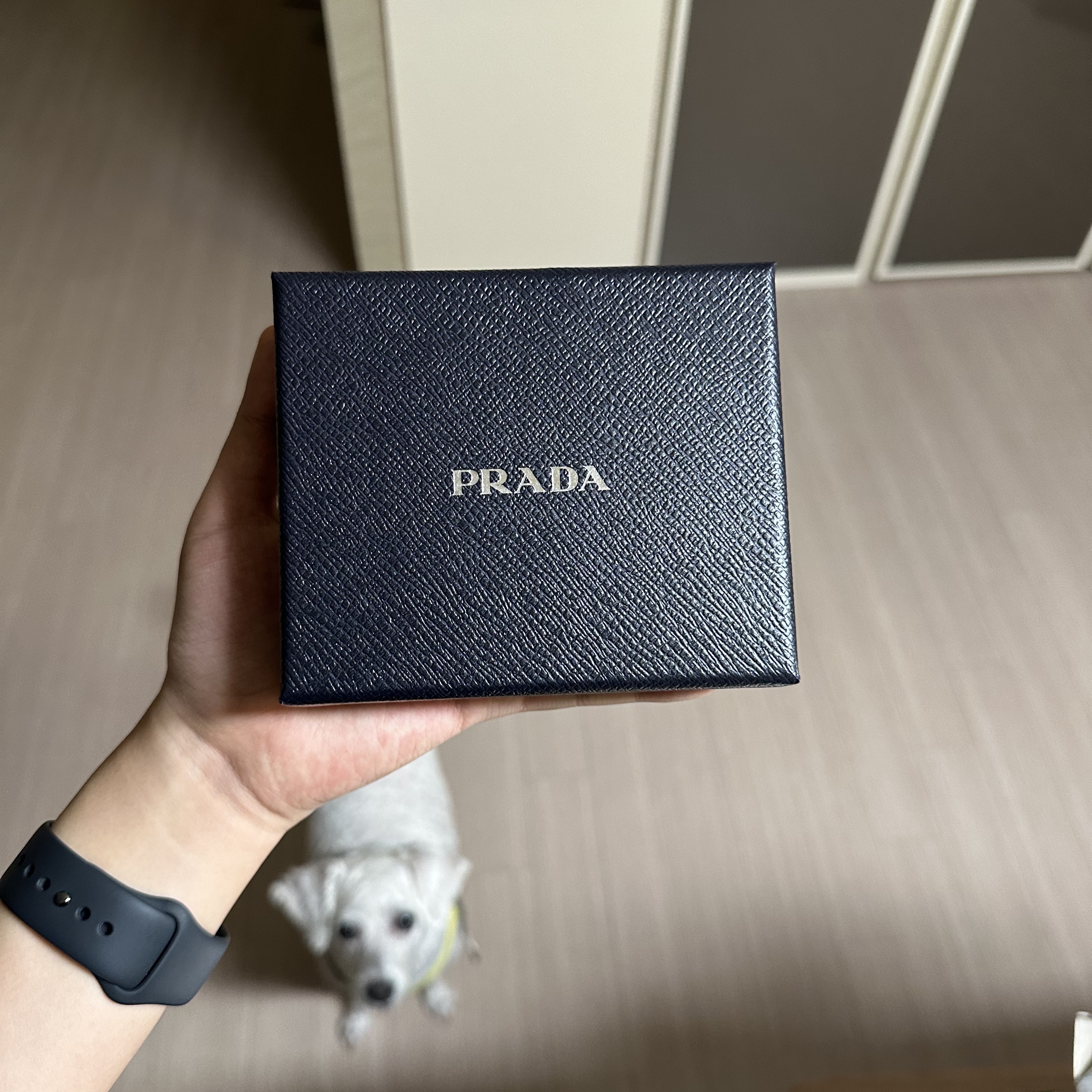 Prada Saffiano Leather Card Holder Black 착용 스타일 - 1