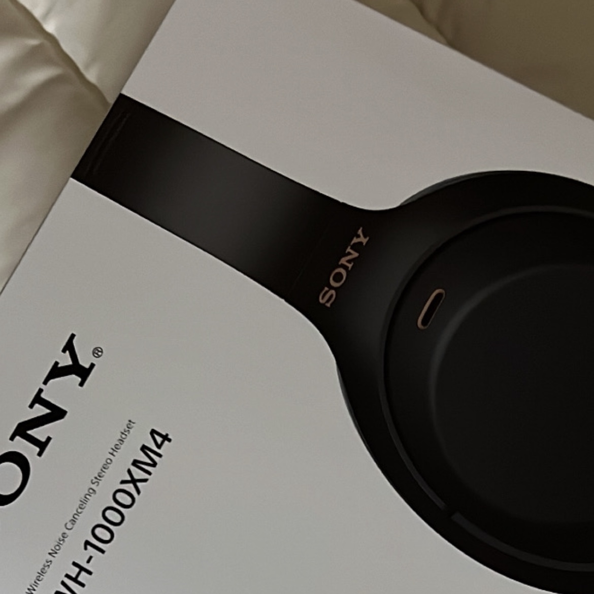 Sony WH-1000XM4 Black (Korean Ver.) 착용 스타일