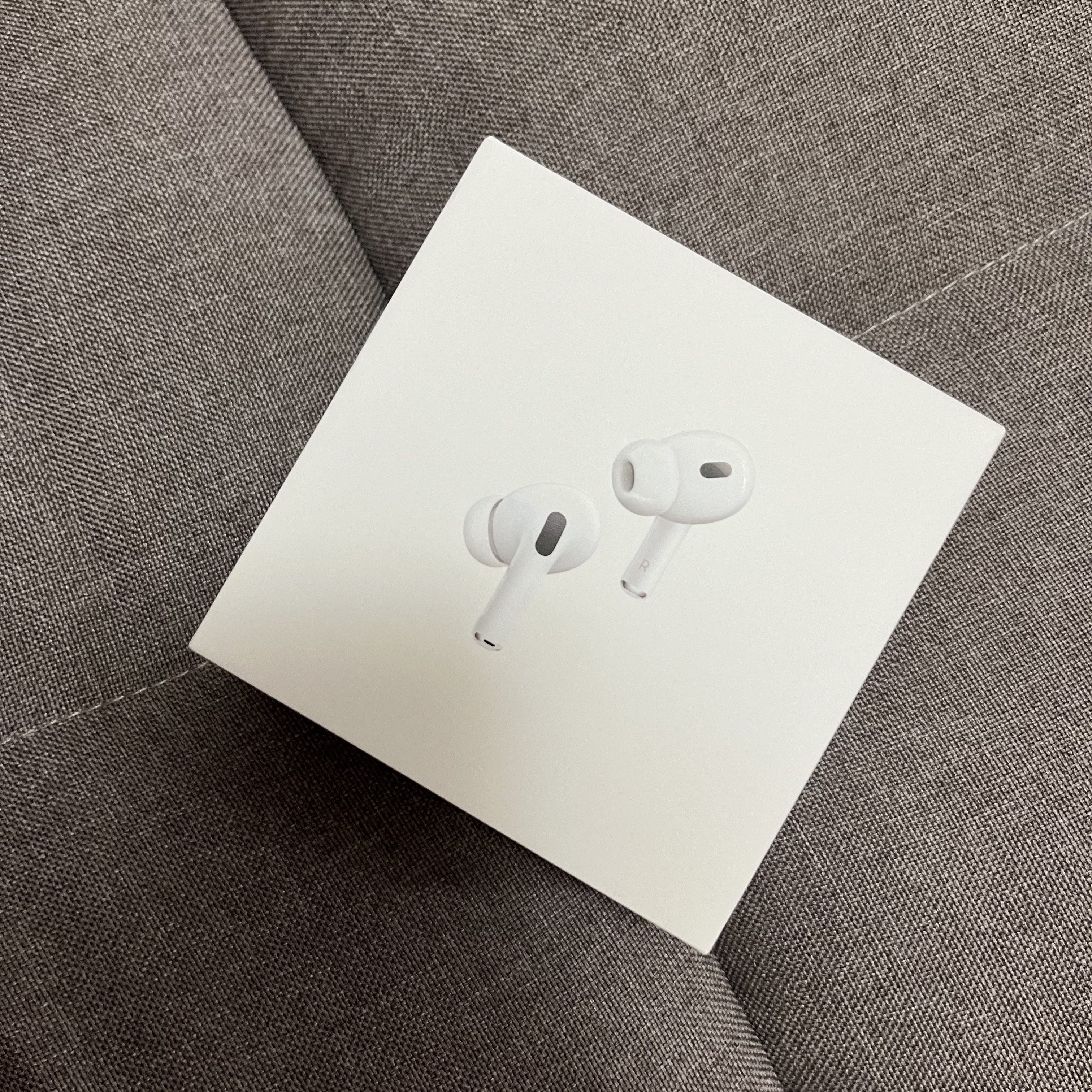 Apple AirPods Pro 2nd Gen (Korean Ver.) 착용 스타일