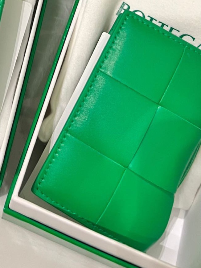Bottega Veneta Flap Card Case Parakeet 착용 스타일 - 2