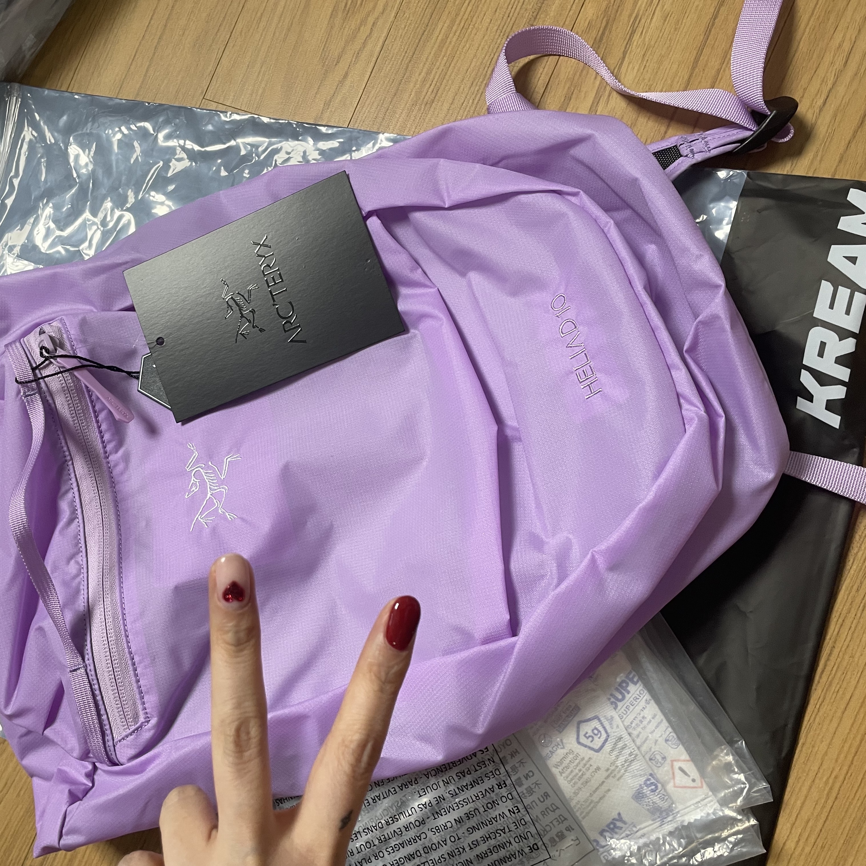 Arc'teryx Heliad 10 Backpack Storm Glow 착용 스타일