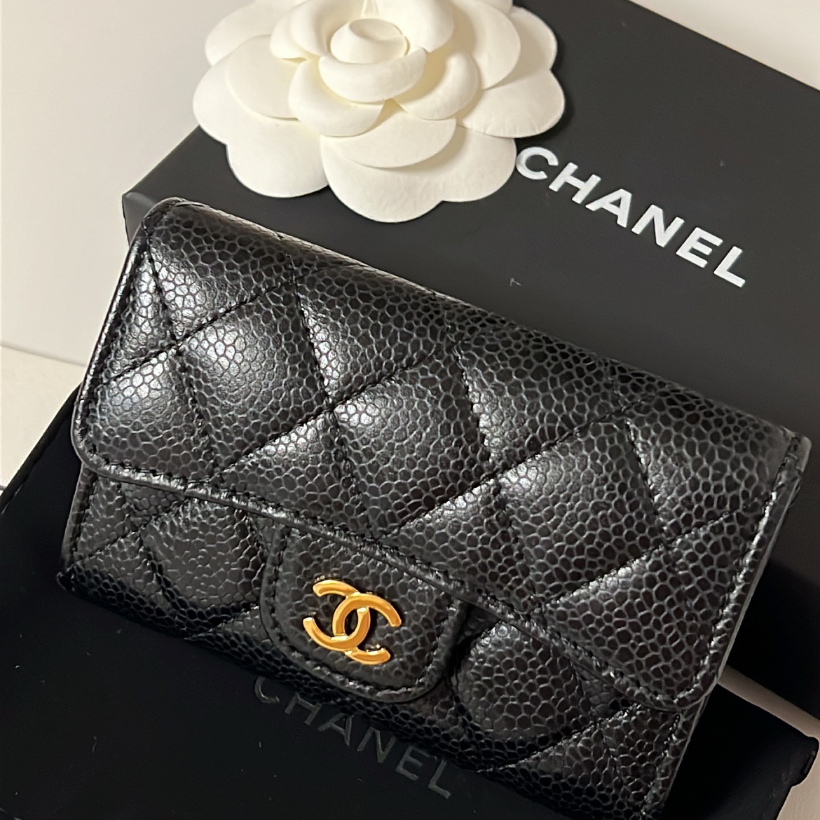 Chanel Classic Card Holder Grained Calfskin & Gold Black 착용 스타일 - 1