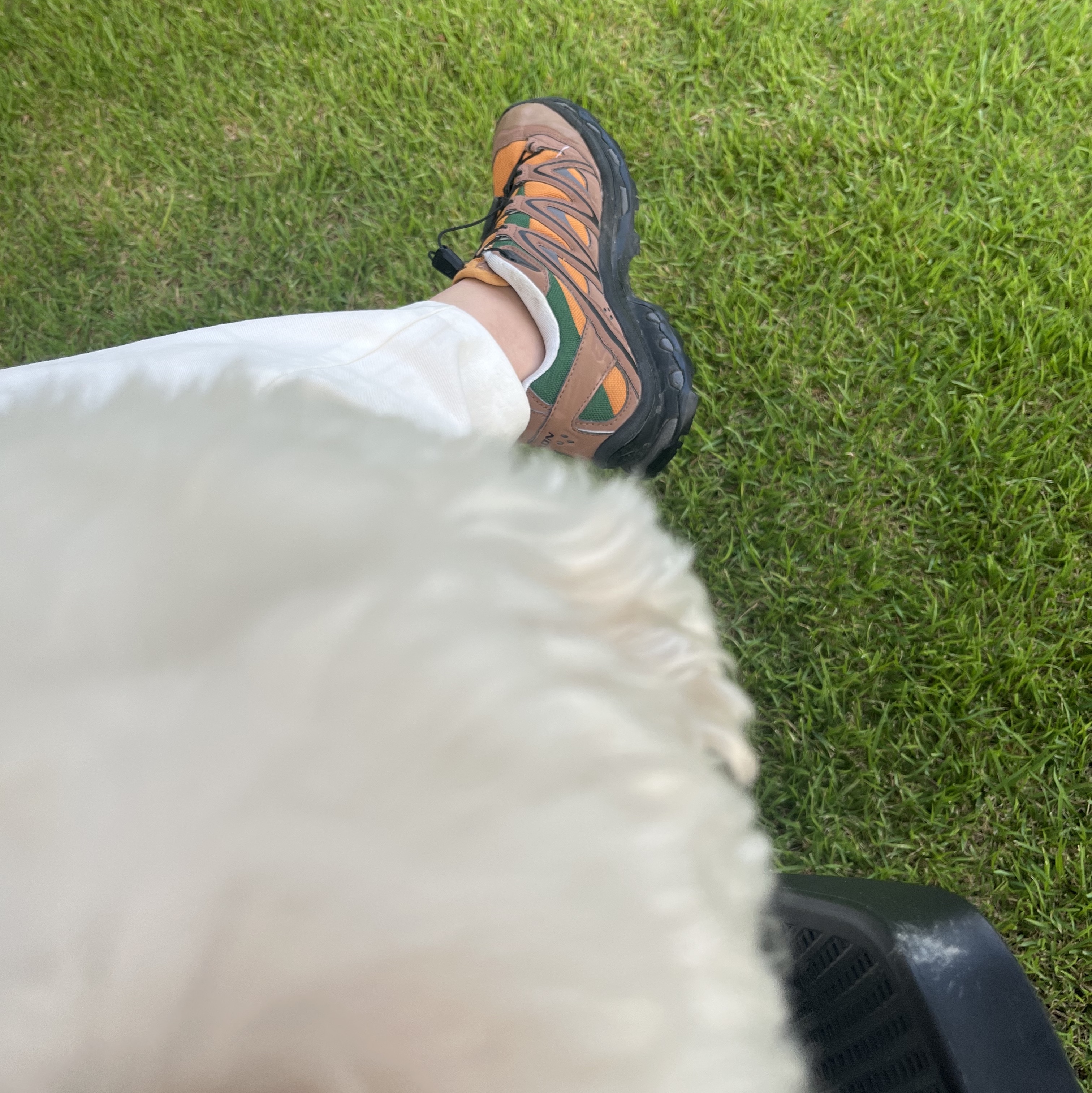Salomon XT-Quest 75th Anniversary Golden Oak Acorn 착용 스타일