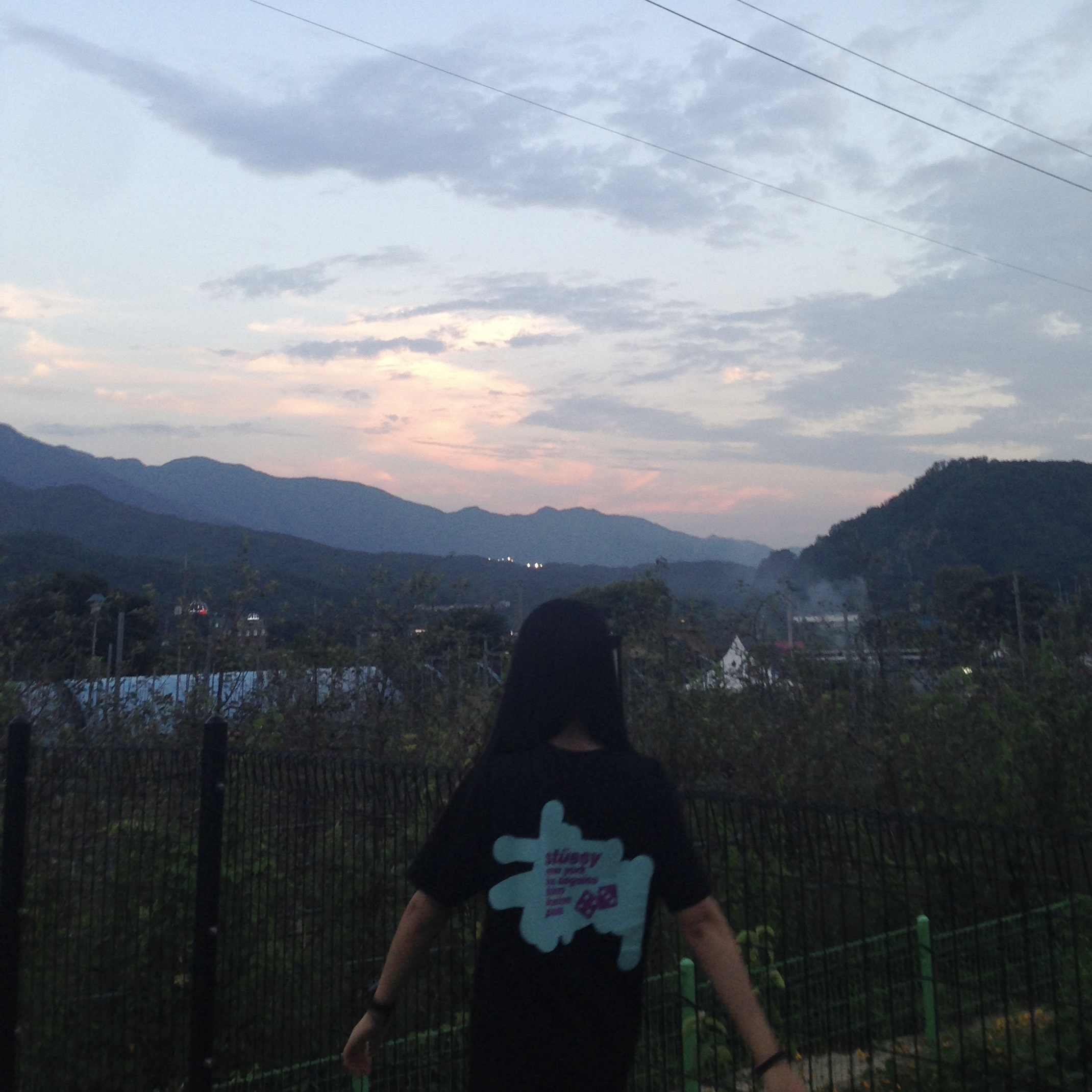 Stussy Silhouette T-Shirt Black 착용 스타일