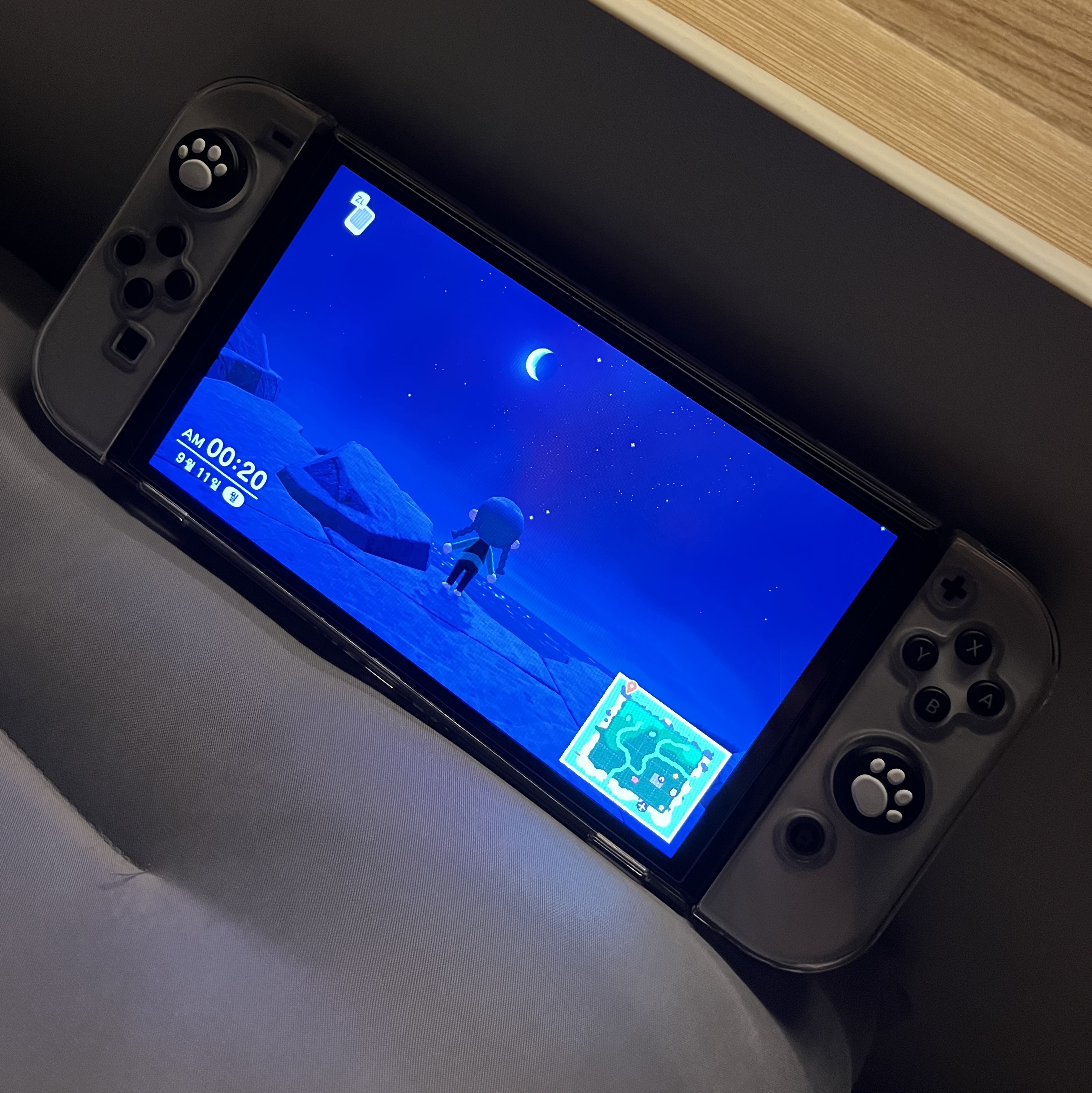 Nintendo Switch OLED White (Korean Ver.) 착용 스타일