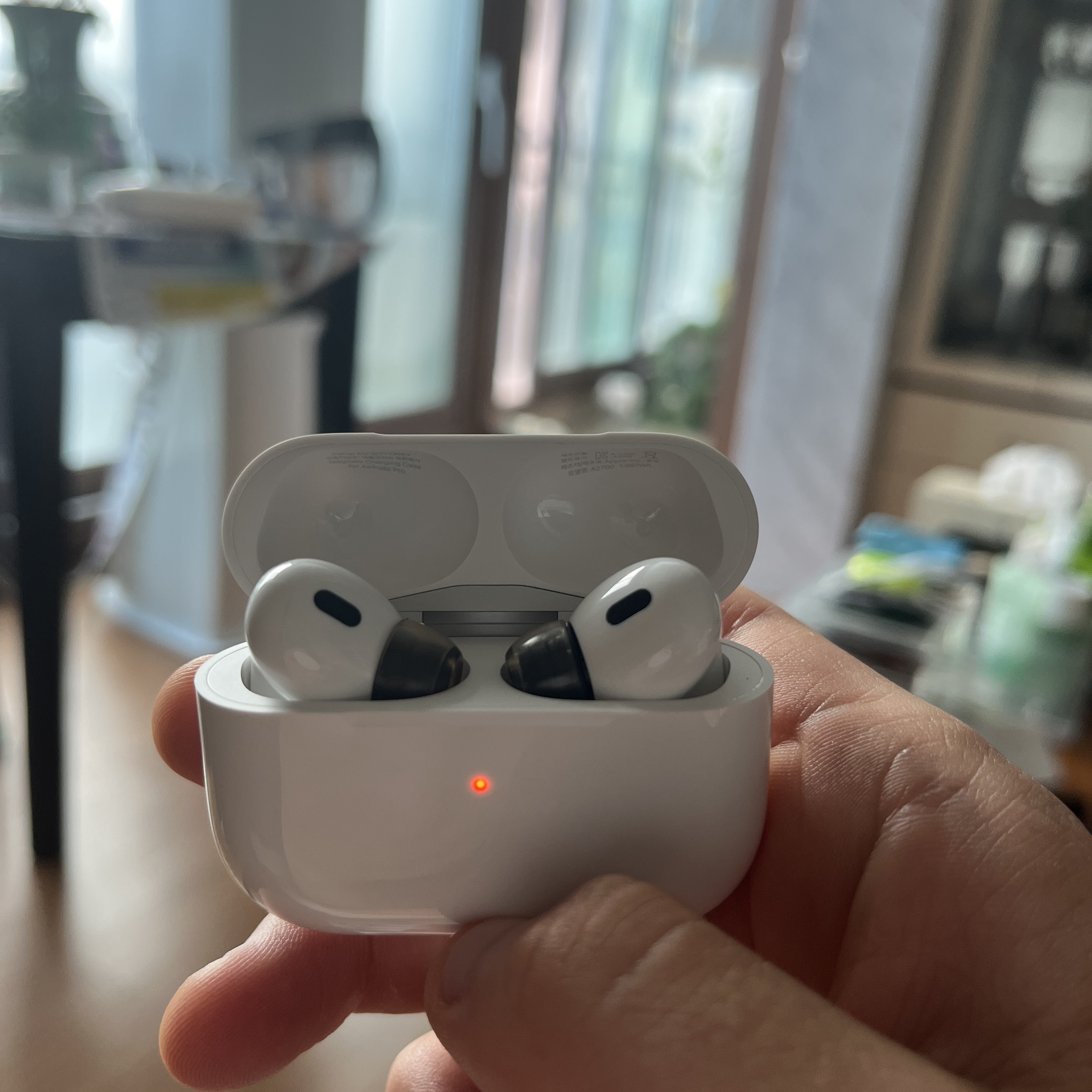 Apple AirPods Pro 2nd Gen (Korean Ver.) 착용 스타일 - 2