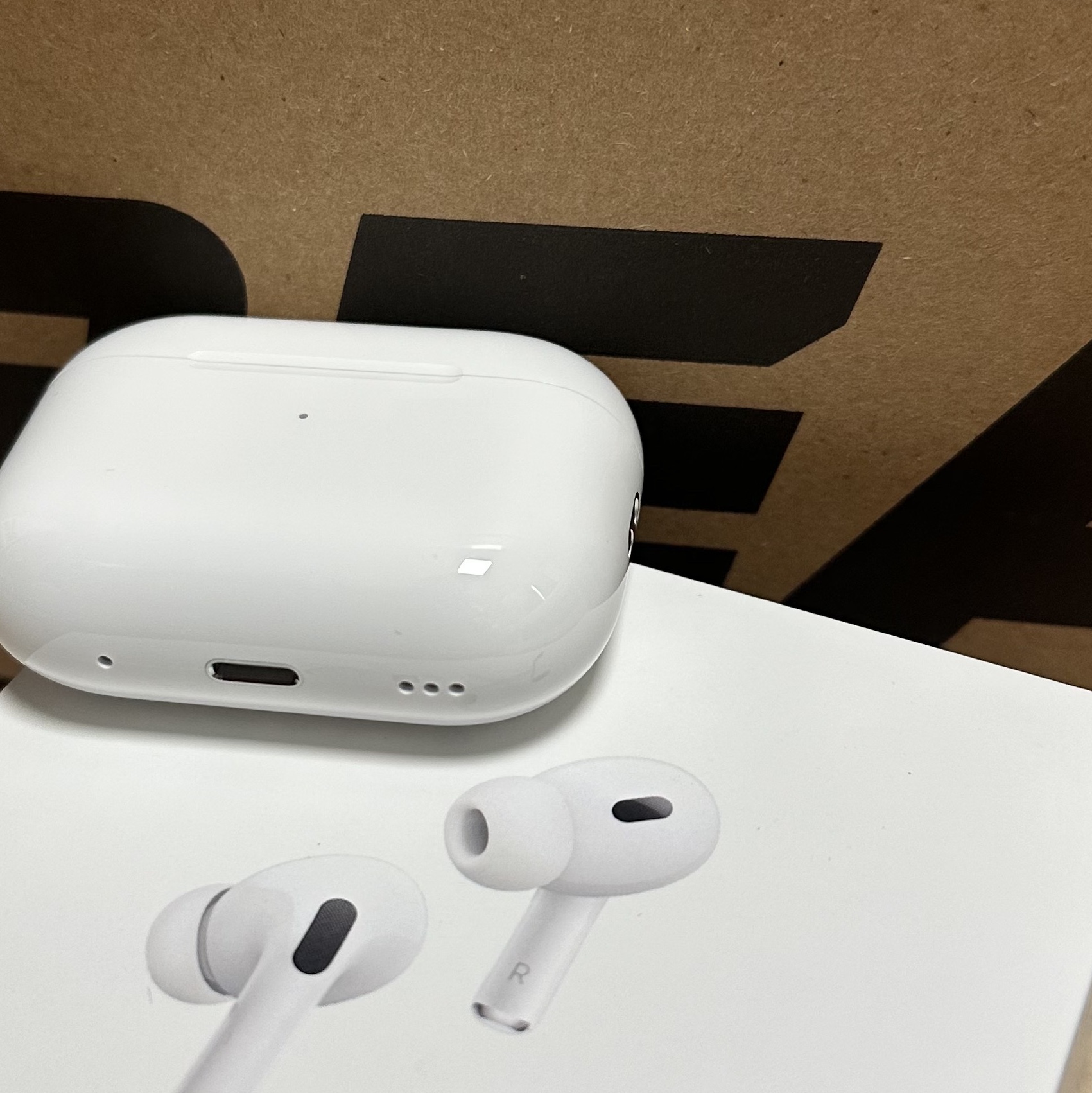 Apple AirPods Pro 2nd Gen (Korean Ver.) 착용 스타일