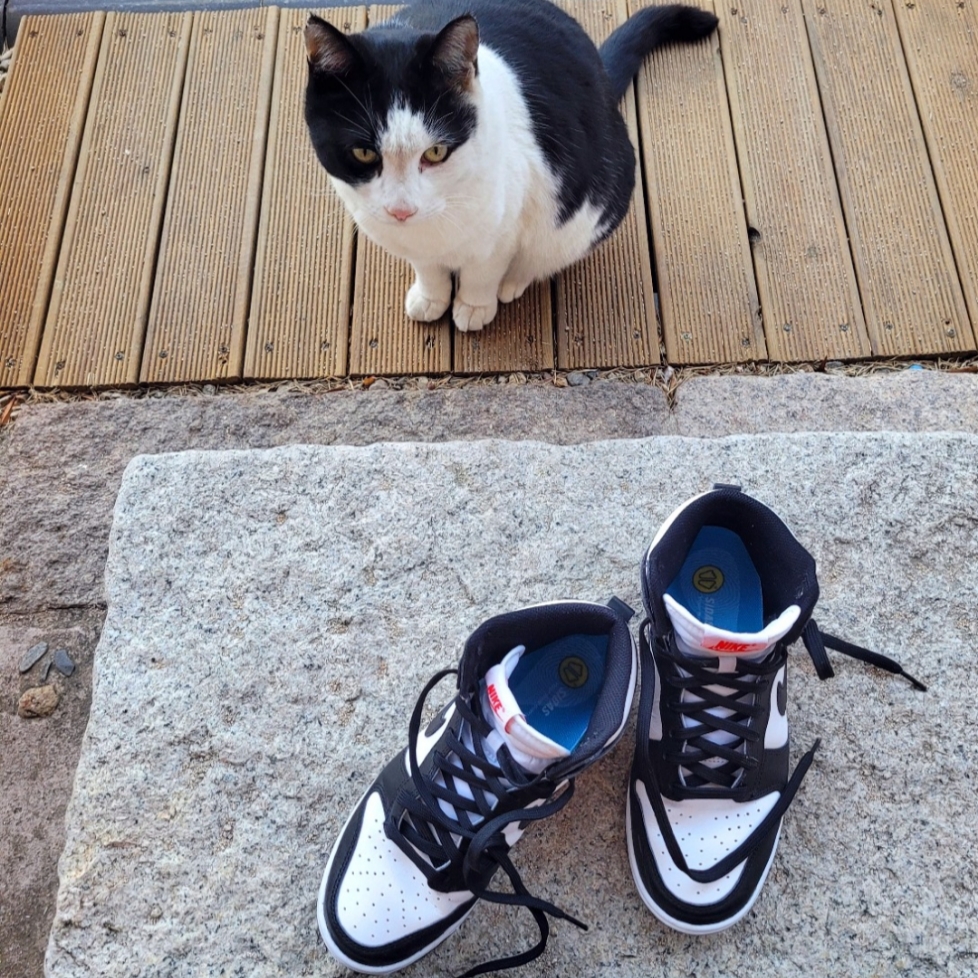 (W) Nike Dunk High Black and White 착용 스타일