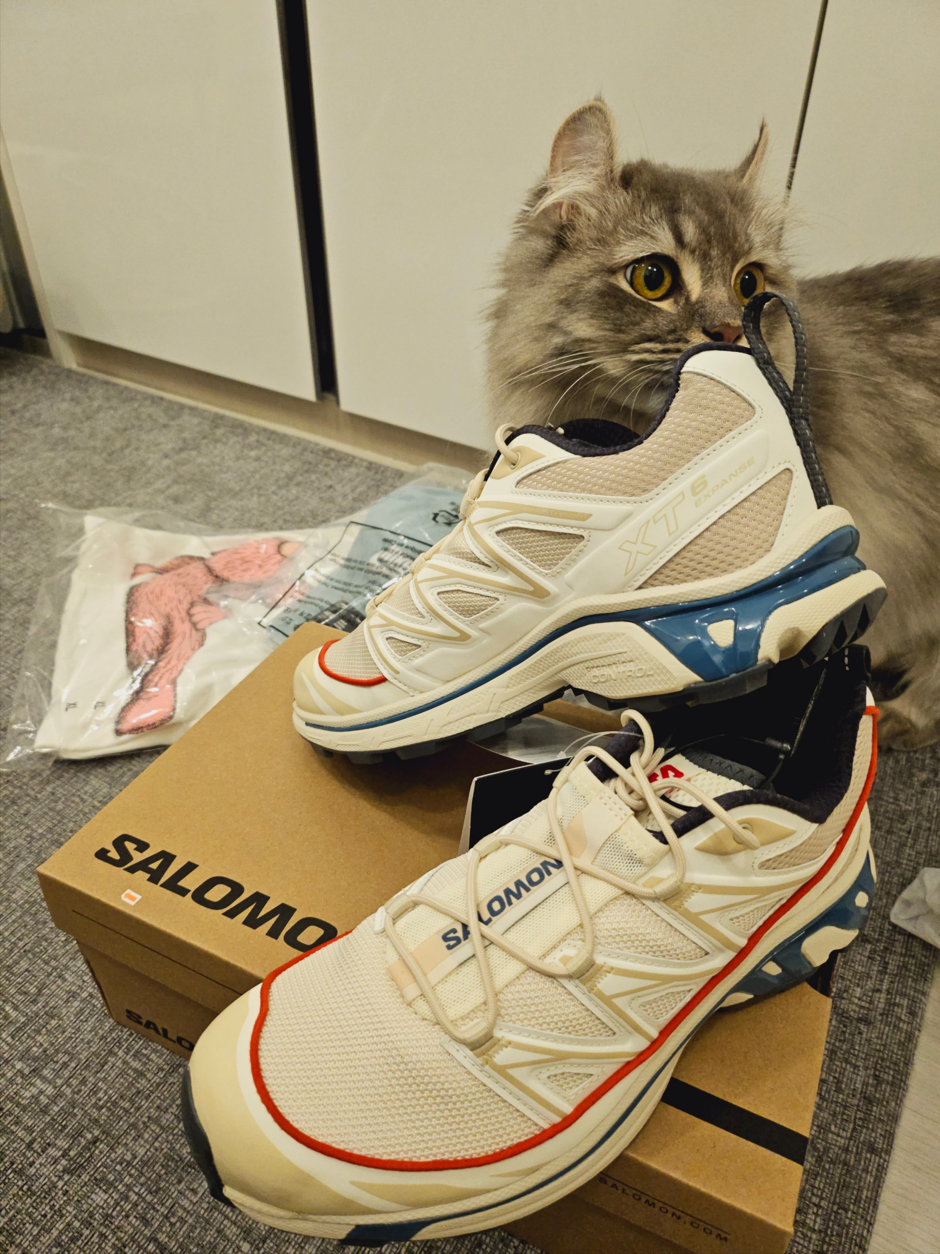 Salomon XT-6 Expanse Almond Milk Aegean Blue 착용 스타일