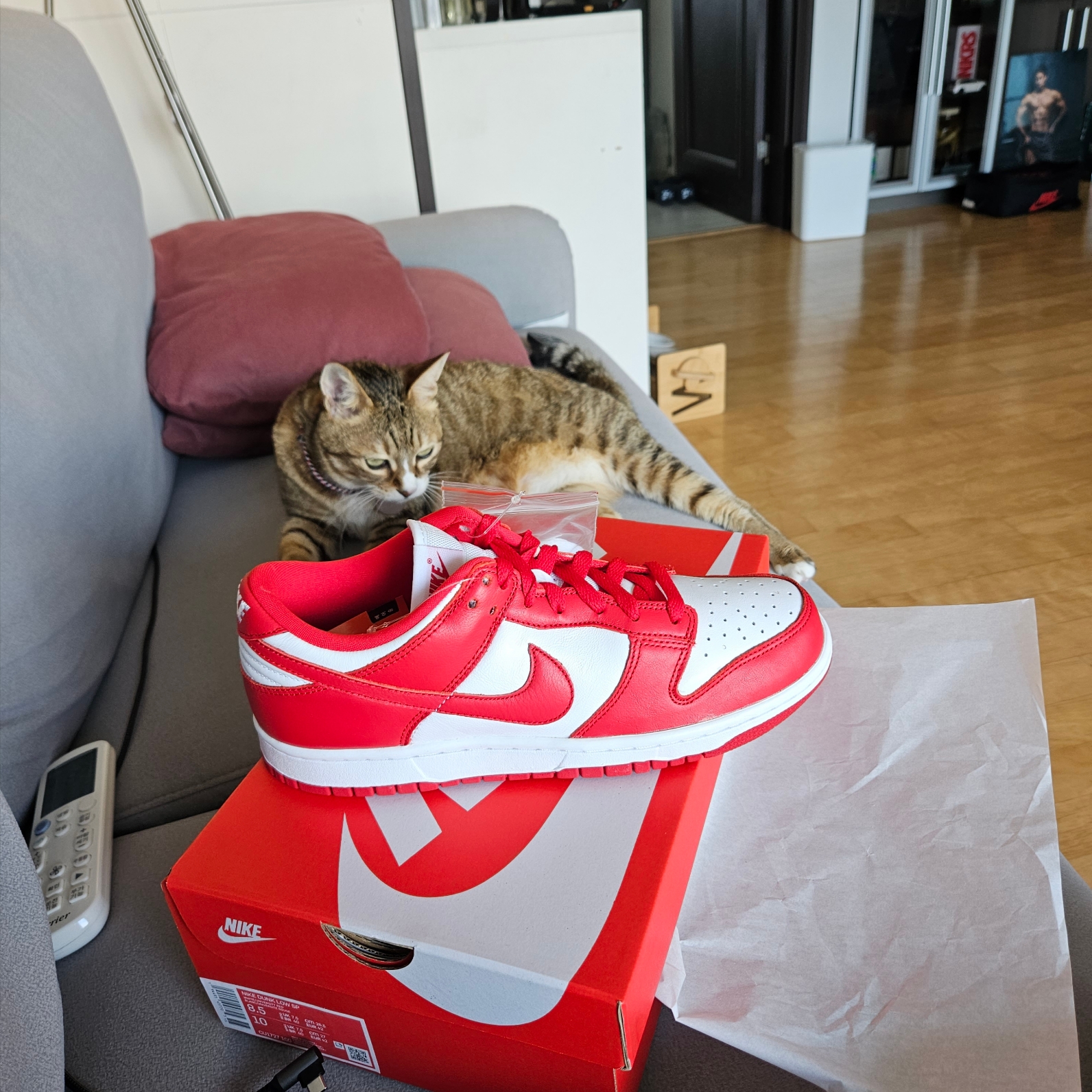 Nike Dunk Low SP White and University Red 2023, Nike Dunk Low SP Kentucky 2022 착용 스타일 - 2