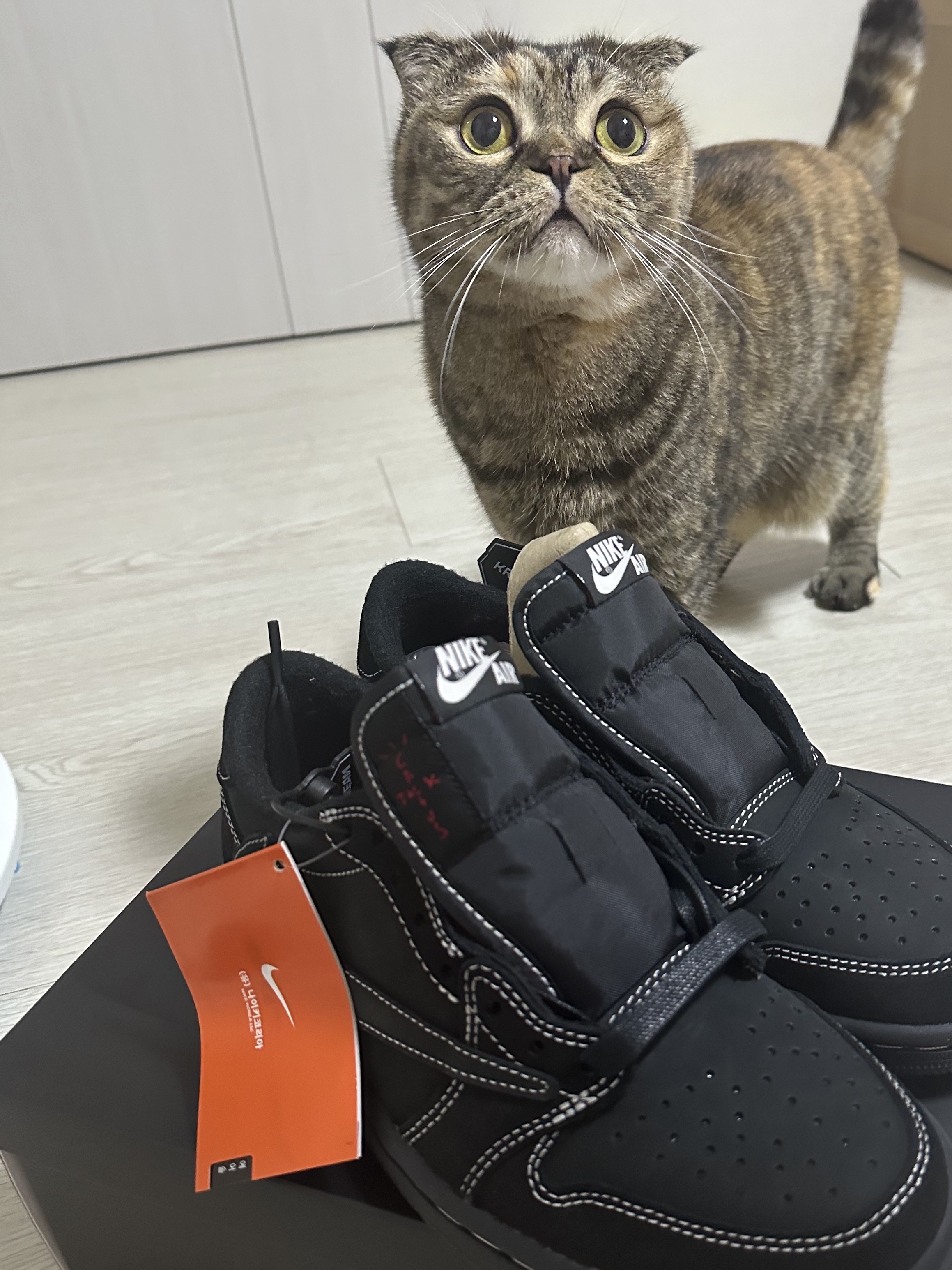 Jordan 1 x Travis Scott Retro Low OG SP Black Phantom 착용 스타일