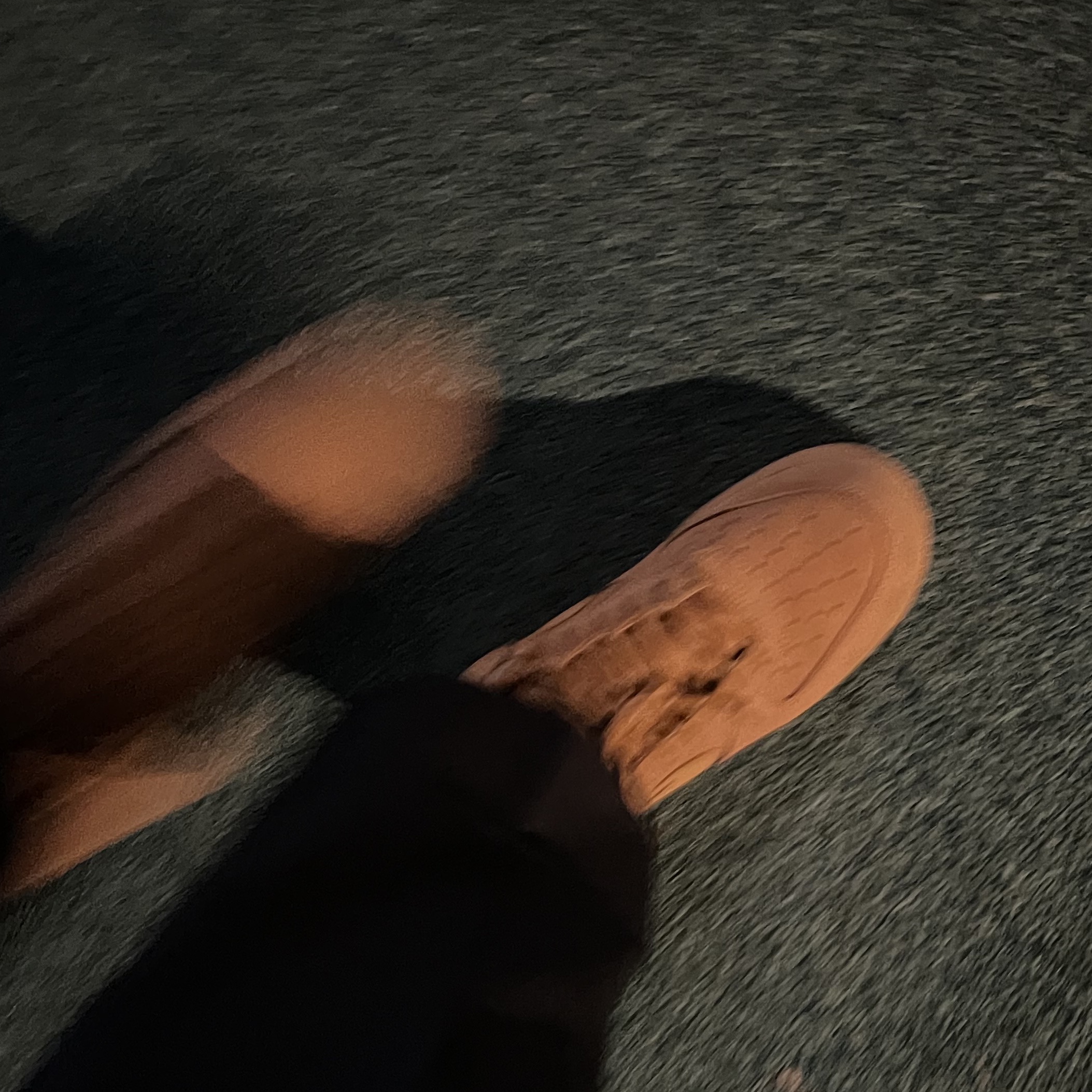 Nike Air Force 1 '07 WB Flax 착용 스타일 - 1