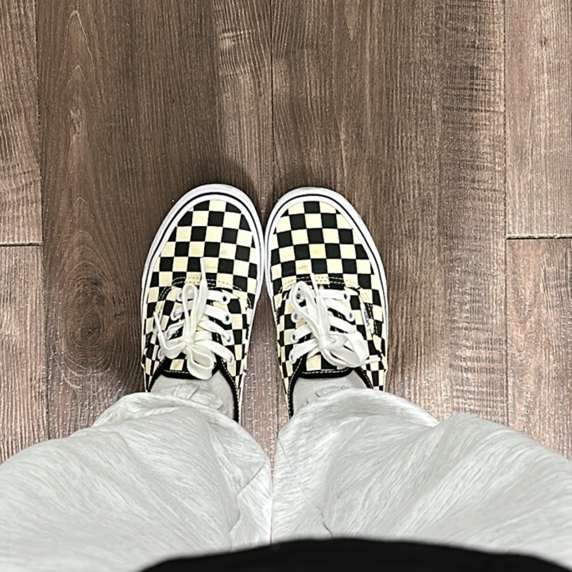 Vans Authentic Golden Coast Checkerboard 착용 스타일