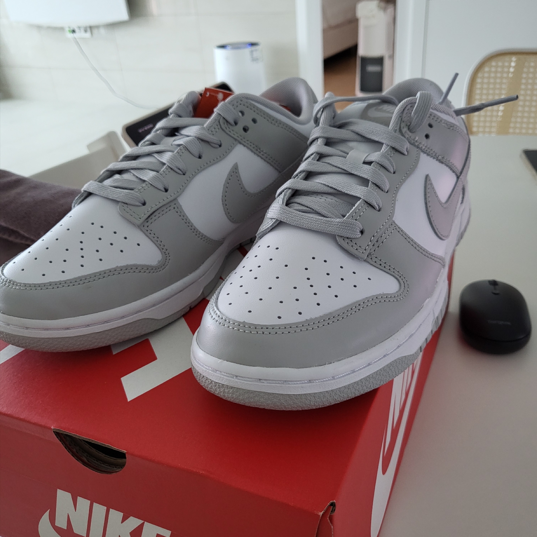 Nike Dunk Low Retro Grey Fog 착용 스타일