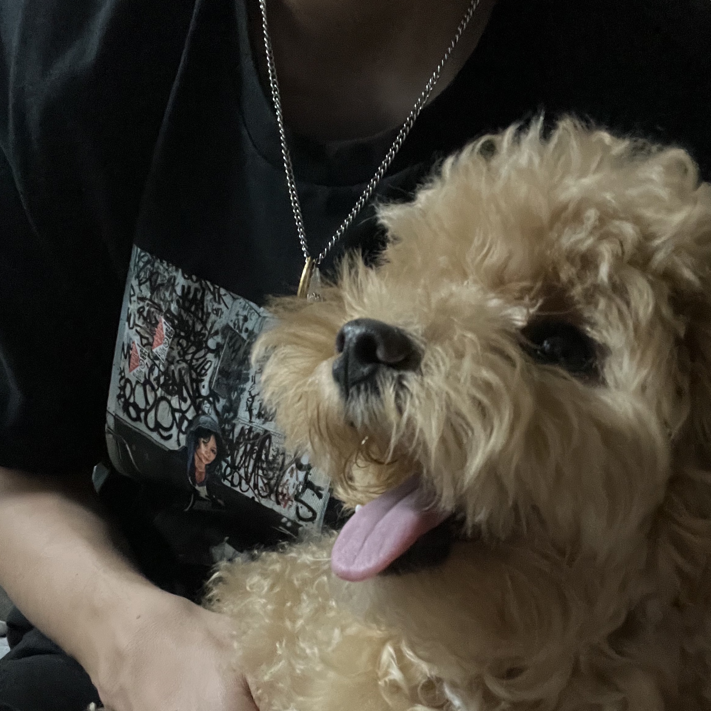 Supreme x Lady Pink T-Shirt Black - 21FW 착용 스타일