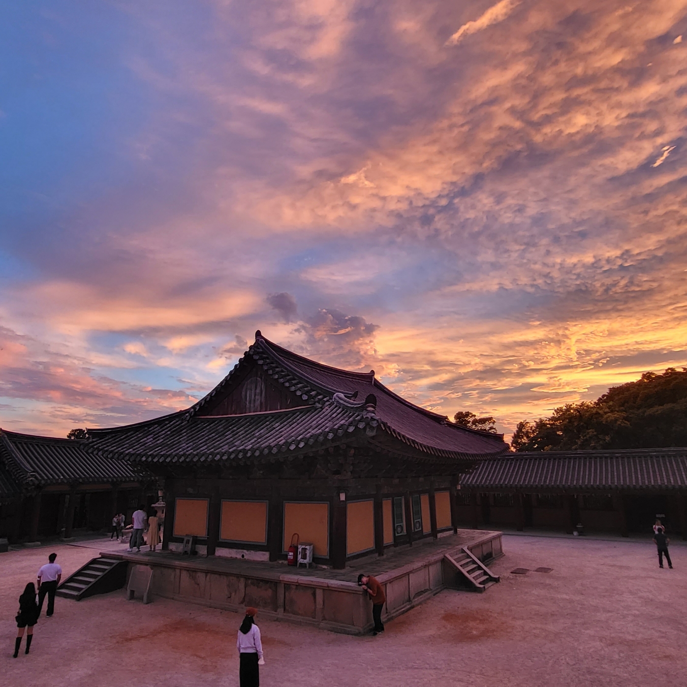 jeanne님의 스타일