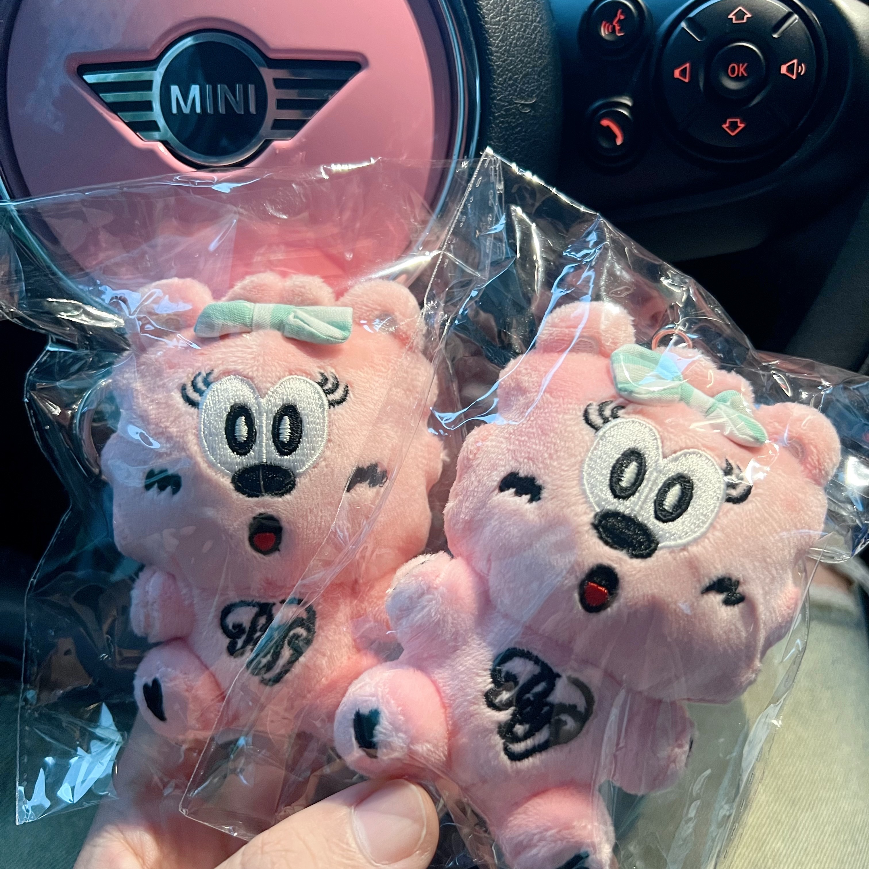 Verdy x Blackpink Binky Keychain Pink 착용 스타일