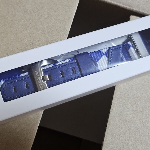 Ader Error Tenit Watch Strap Z-Blue 착용 스타일