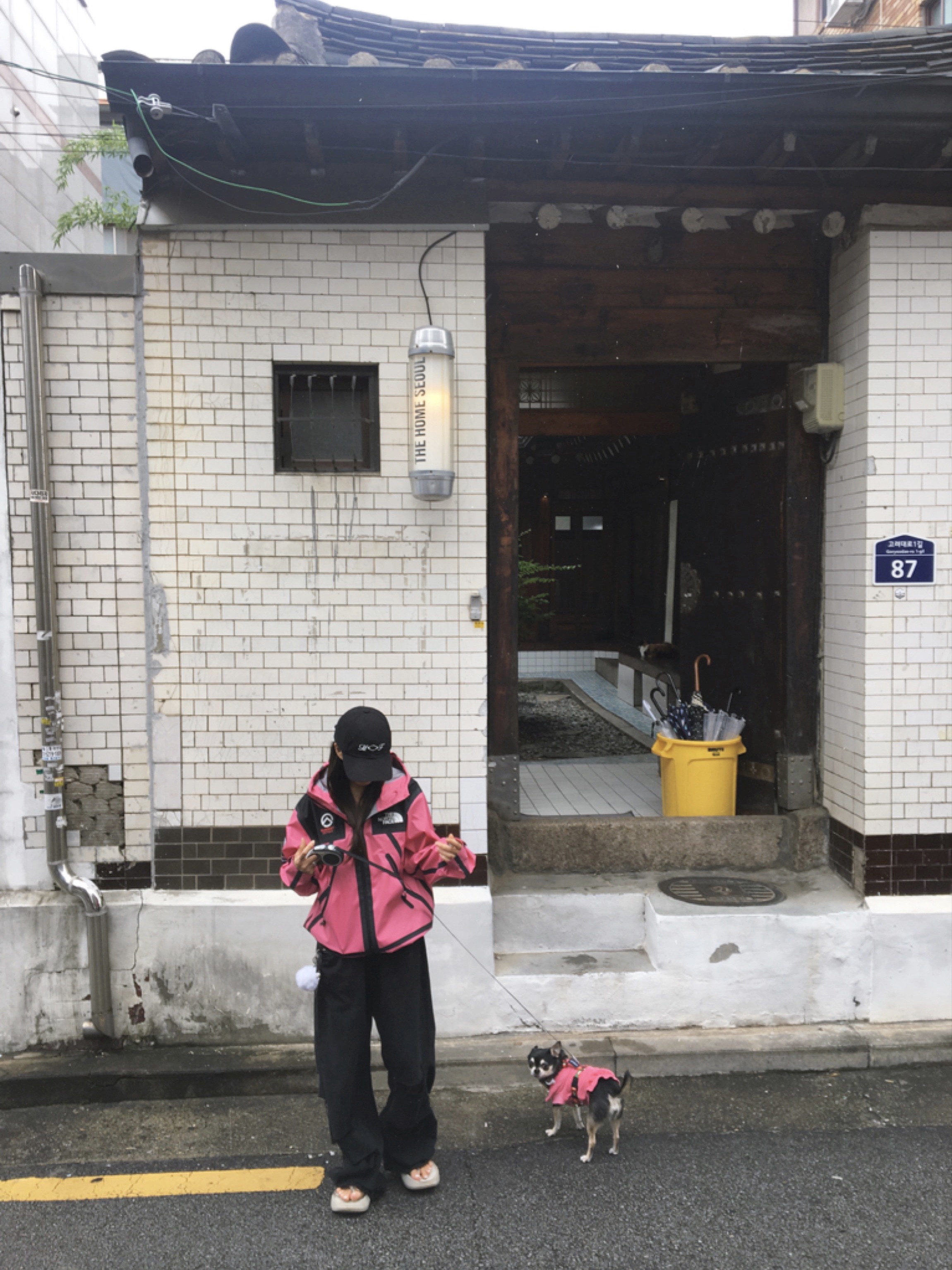 Supreme x The North Face Summit Series Outer Tape Seam Jacket Pink - 21SS, Taw&Toe x Low Classic Platform Flip Flop Cream 착용 스타일