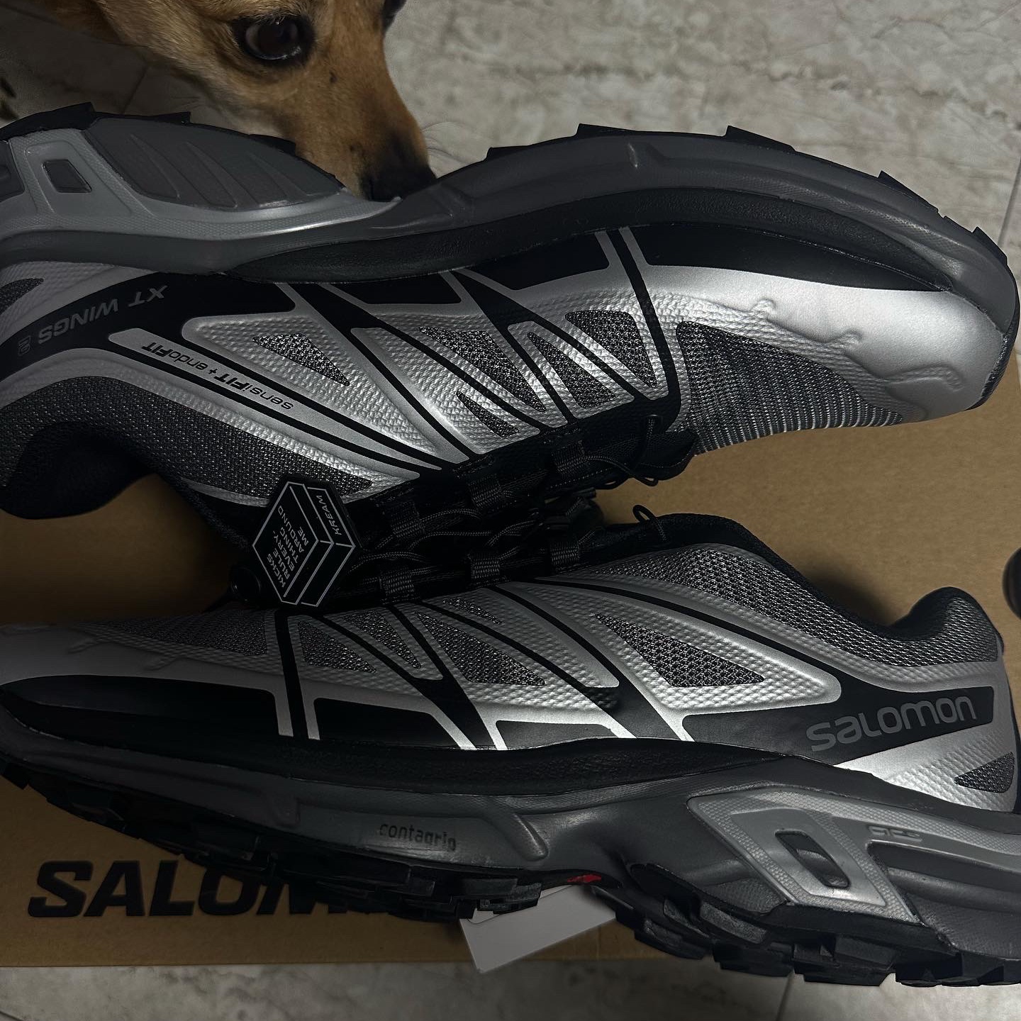 Salomon XT-Wings 2 Silver Quiet Shade 착용 스타일