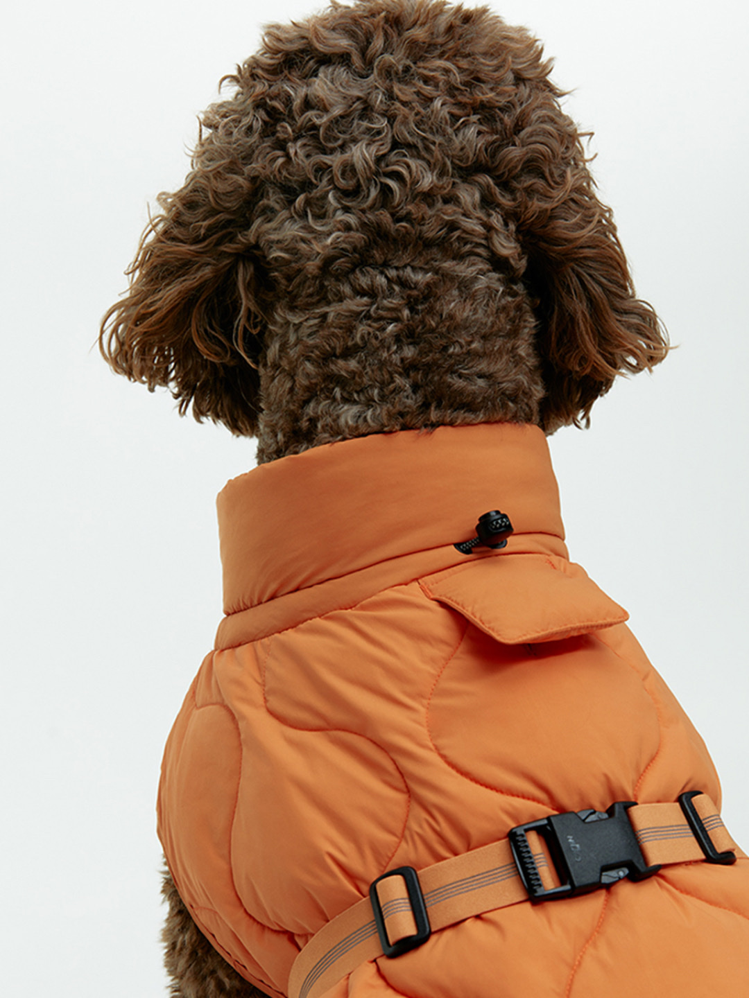 trendazine님의 스타일 - 4
