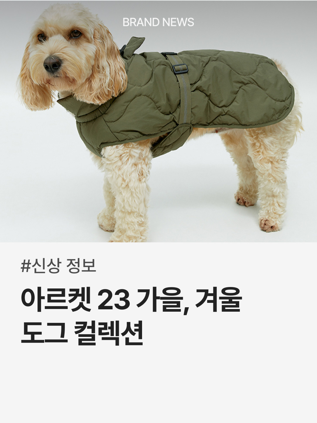 trendazine님의 스타일 - 1