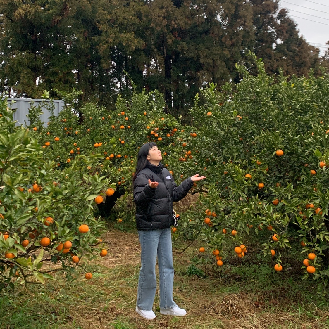 The North Face 1996 Eco Nuptse Jacket Black 착용 스타일