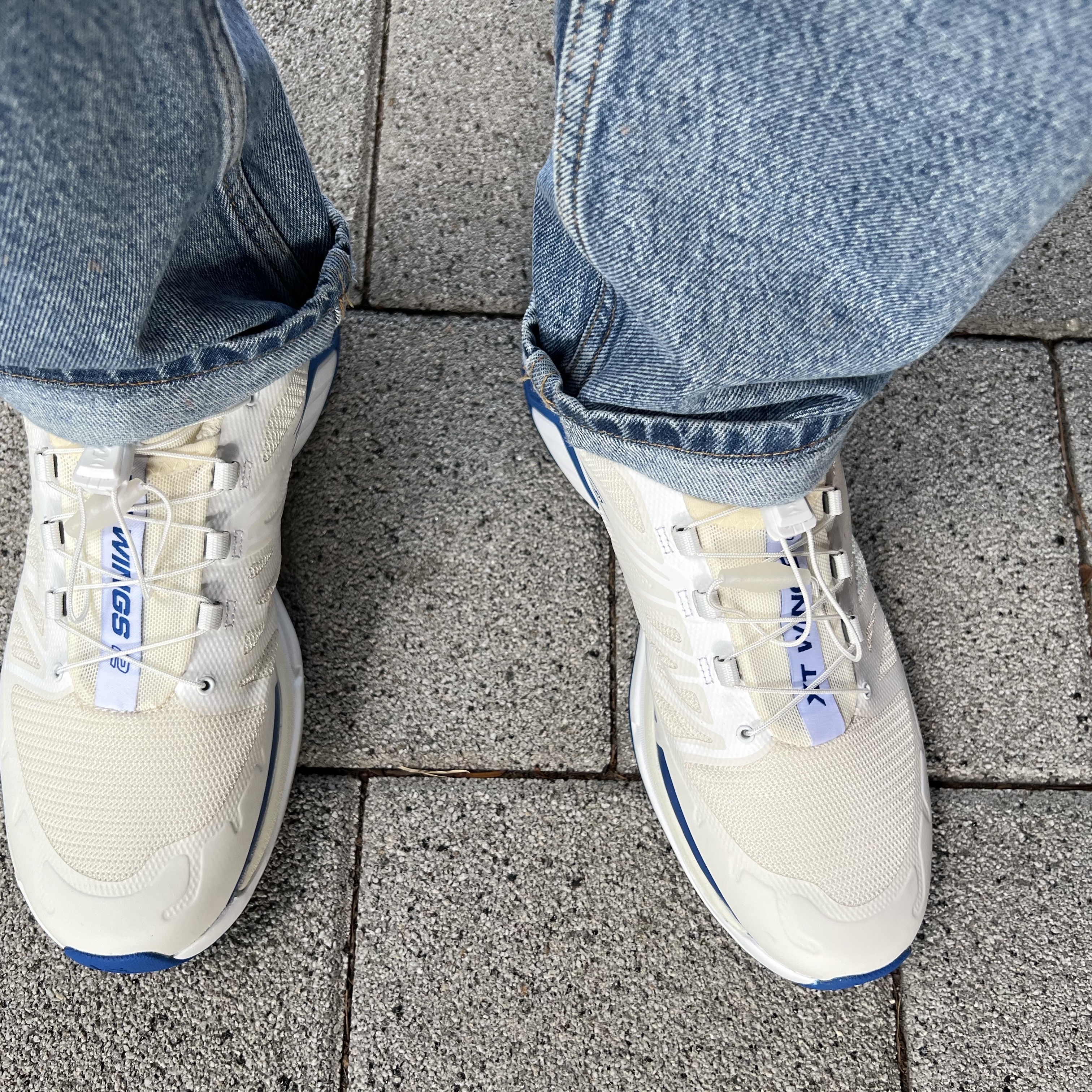 Salomon x JJJJound XT-Wings 2 White Lapis Blue 착용 스타일