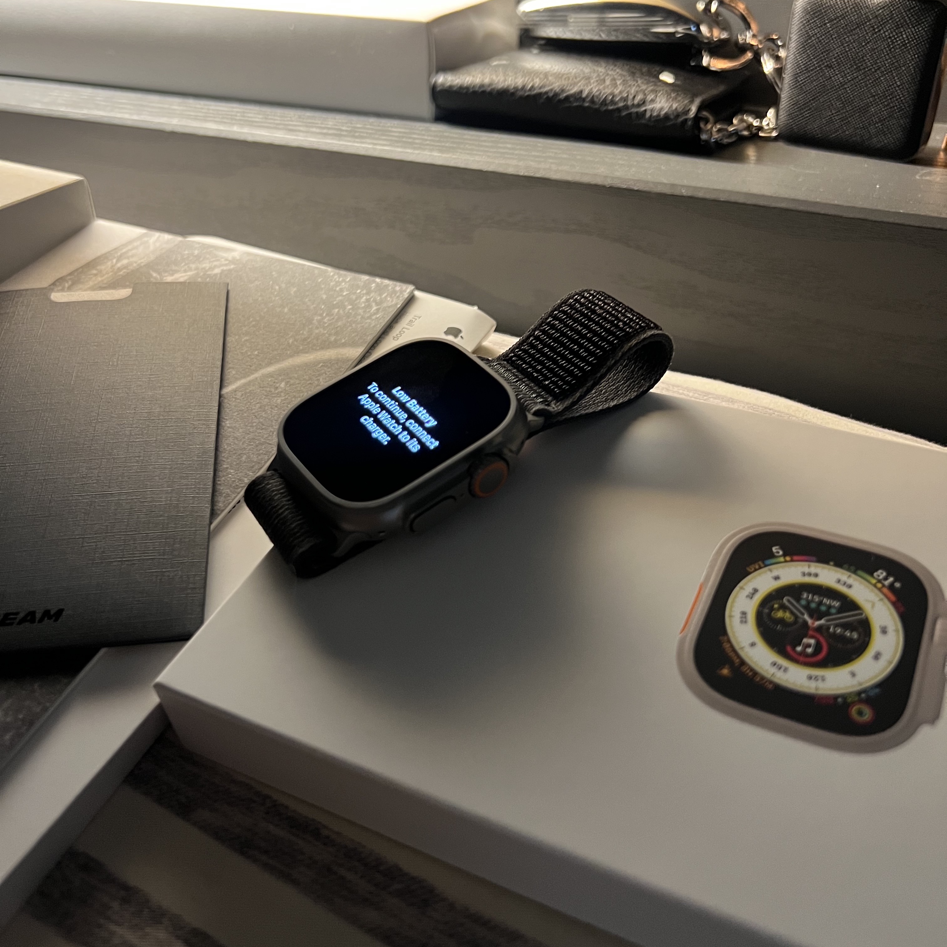 Apple Watch Ultra 2 49mm Titanium Case with M Alpine Loop Indigo (Korean Ver.) 착용 스타일 - 2