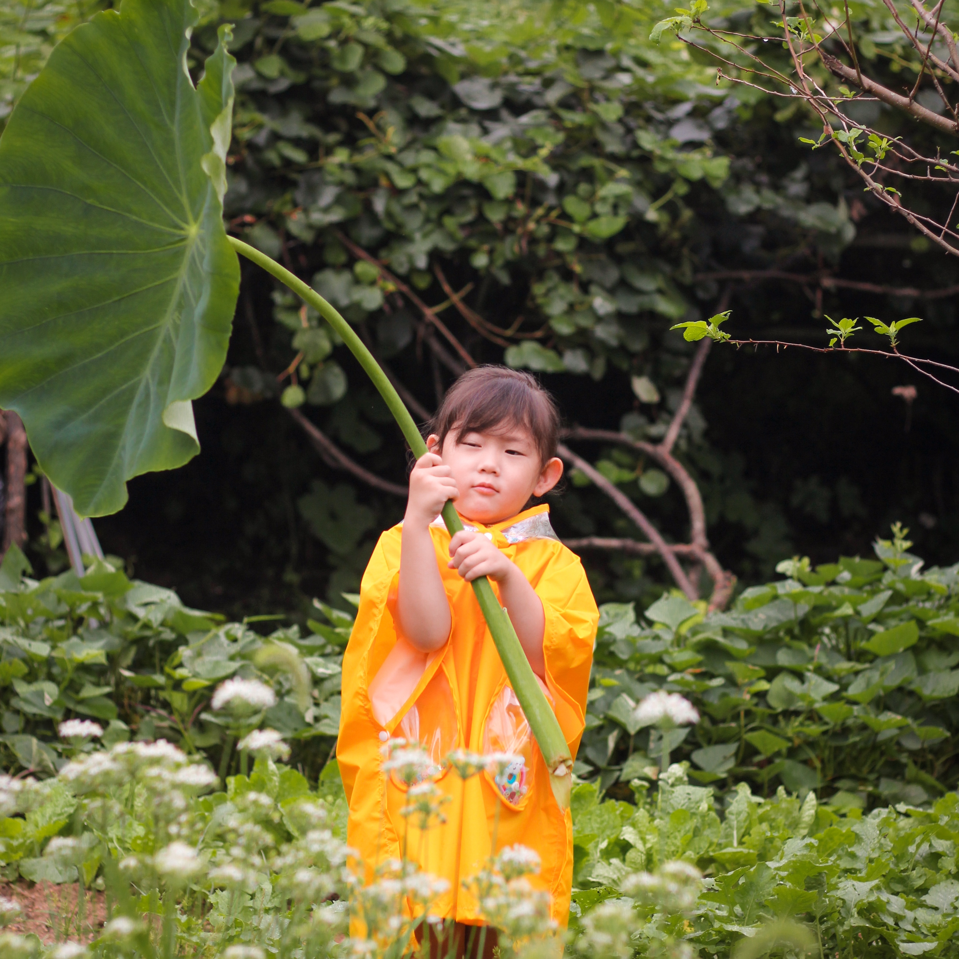 sanddman님의 스타일 - 3